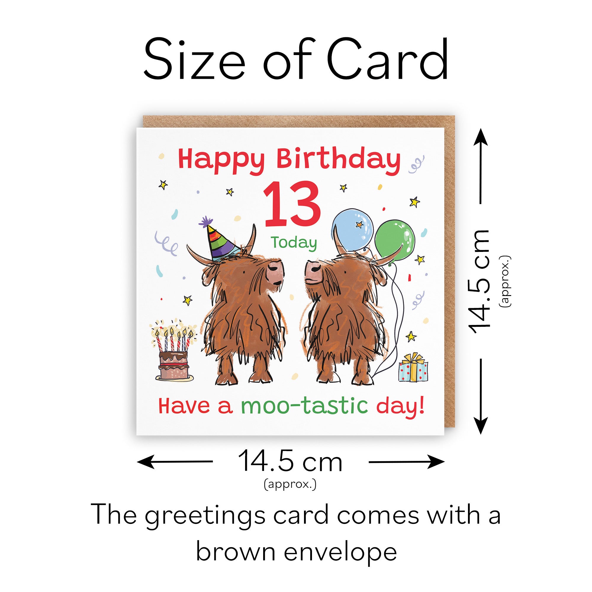 13th Birthday Card Highland Cows Animal Party - Default Title (RM00743)