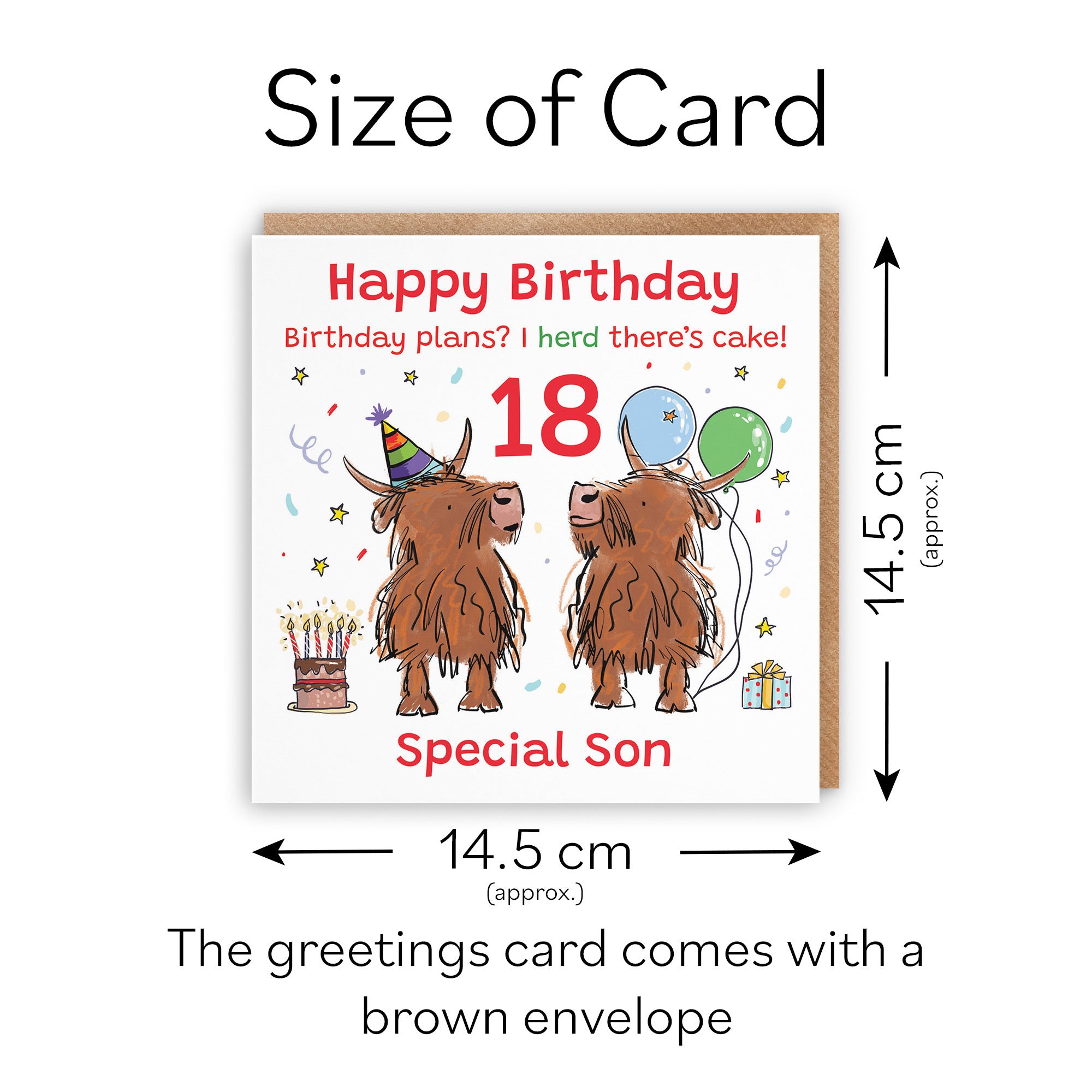 18th Son Birthday Card Highland Cows Animal Party - Default Title (RM00760)