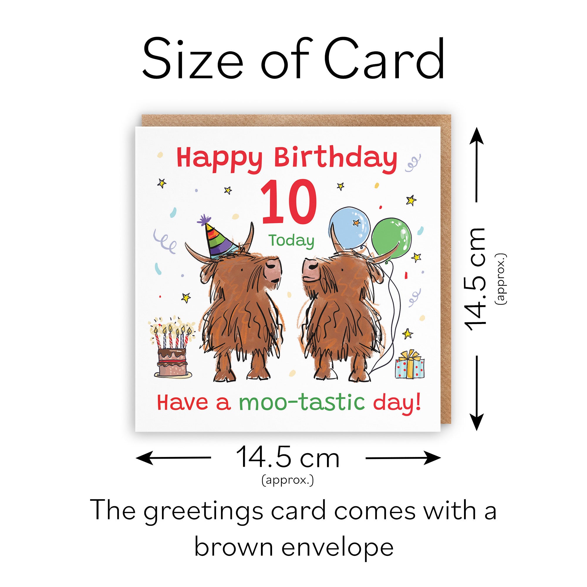 10th Birthday Card Highland Cows Animal Party - Default Title (RM00773)