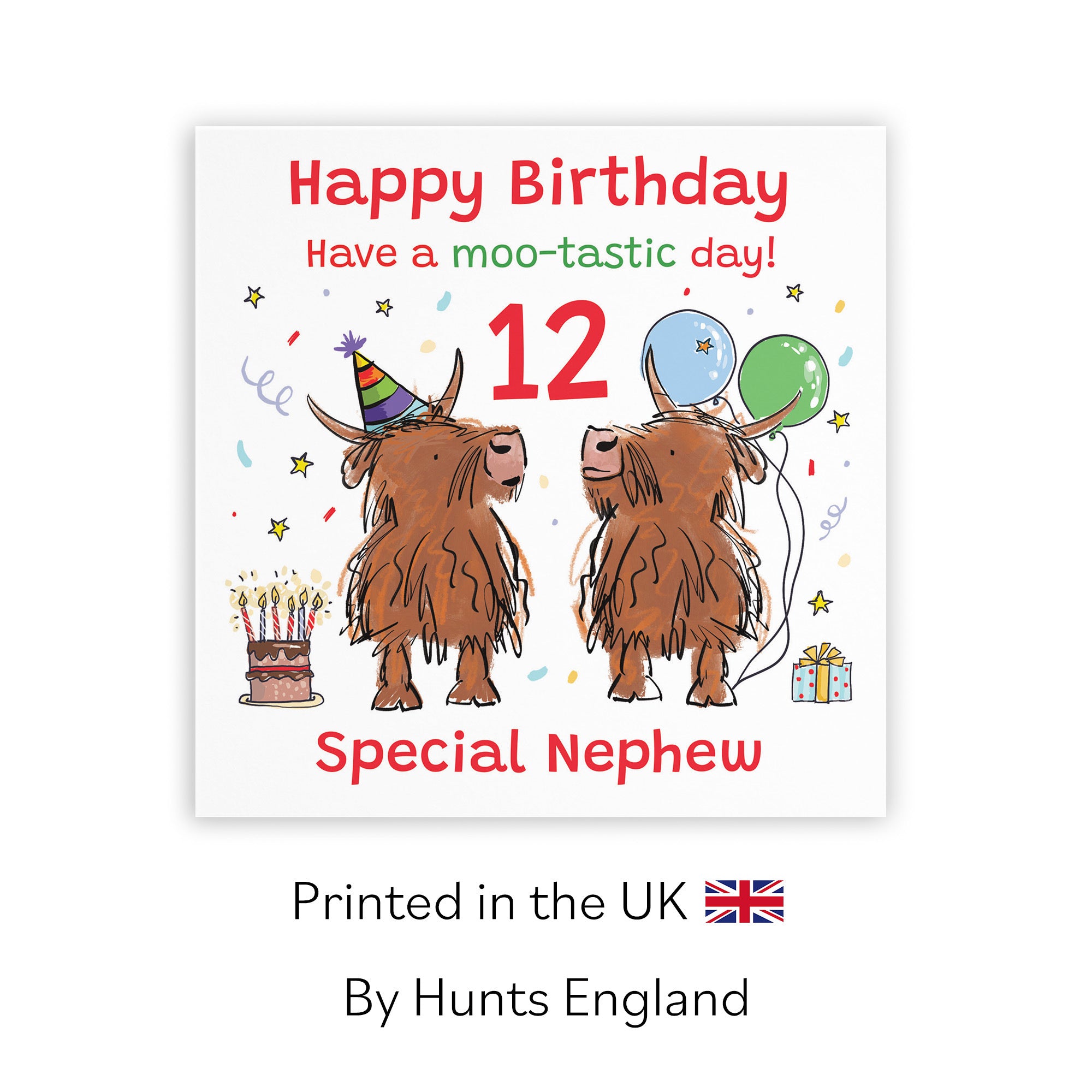 12th Nephew Birthday Card Highland Cows Animal Party - Default Title (RM00789)