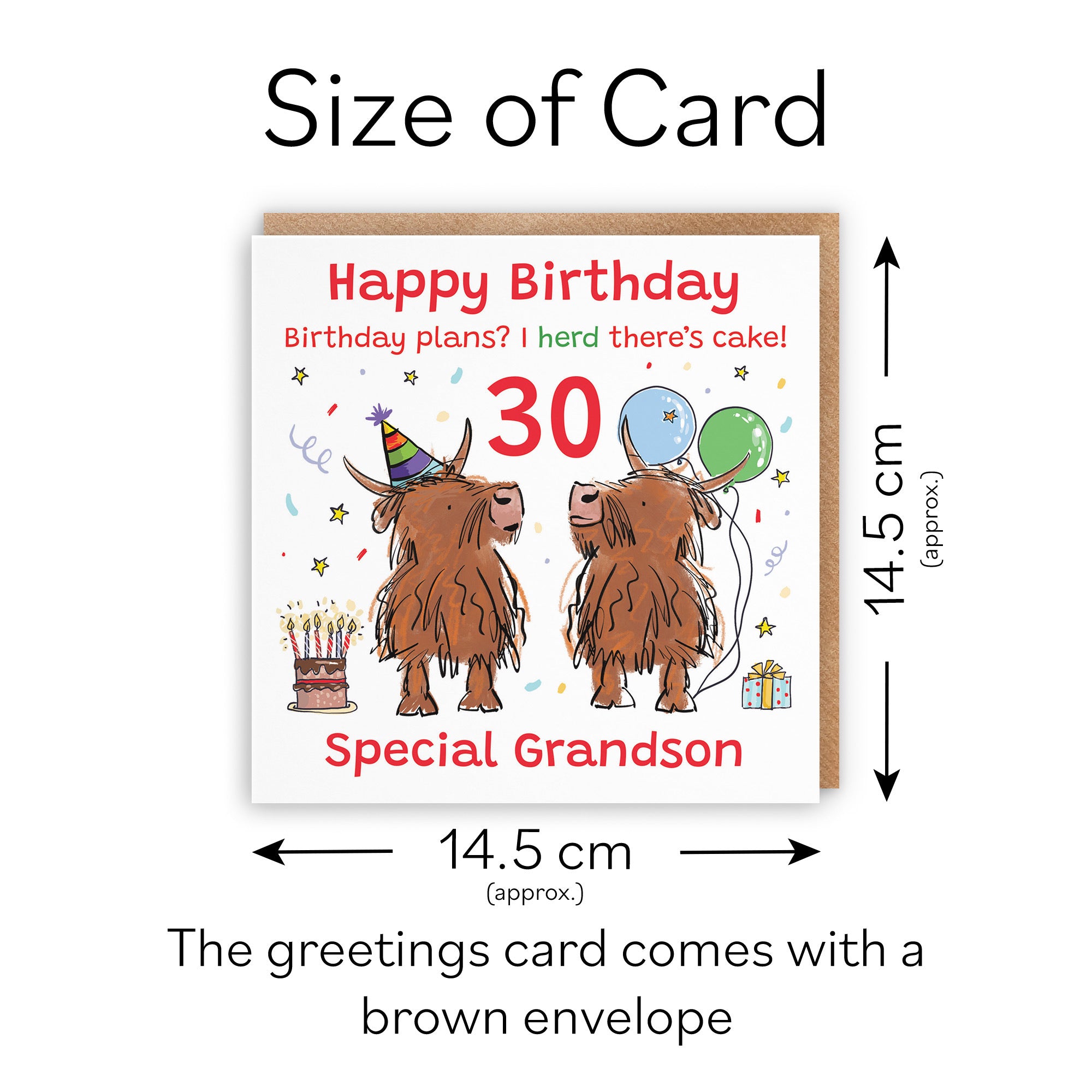 30th Grandson Birthday Card Highland Cows Animal Party - Default Title (RM00843)