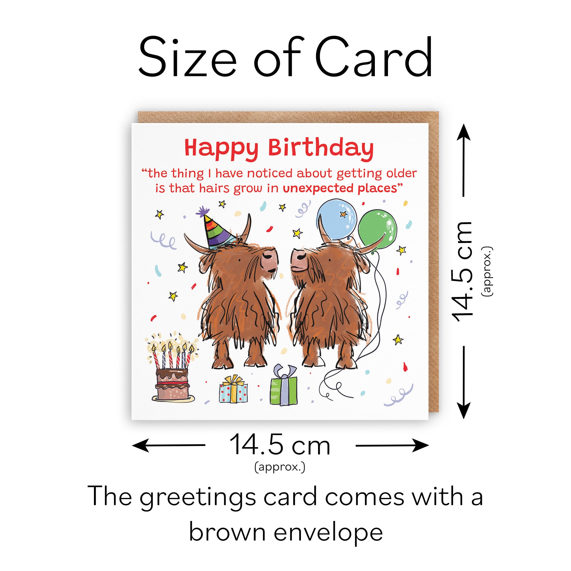 Adults Birthday Card Highland Cows Hairs Grow Animal Party - Default Title (RM00848)