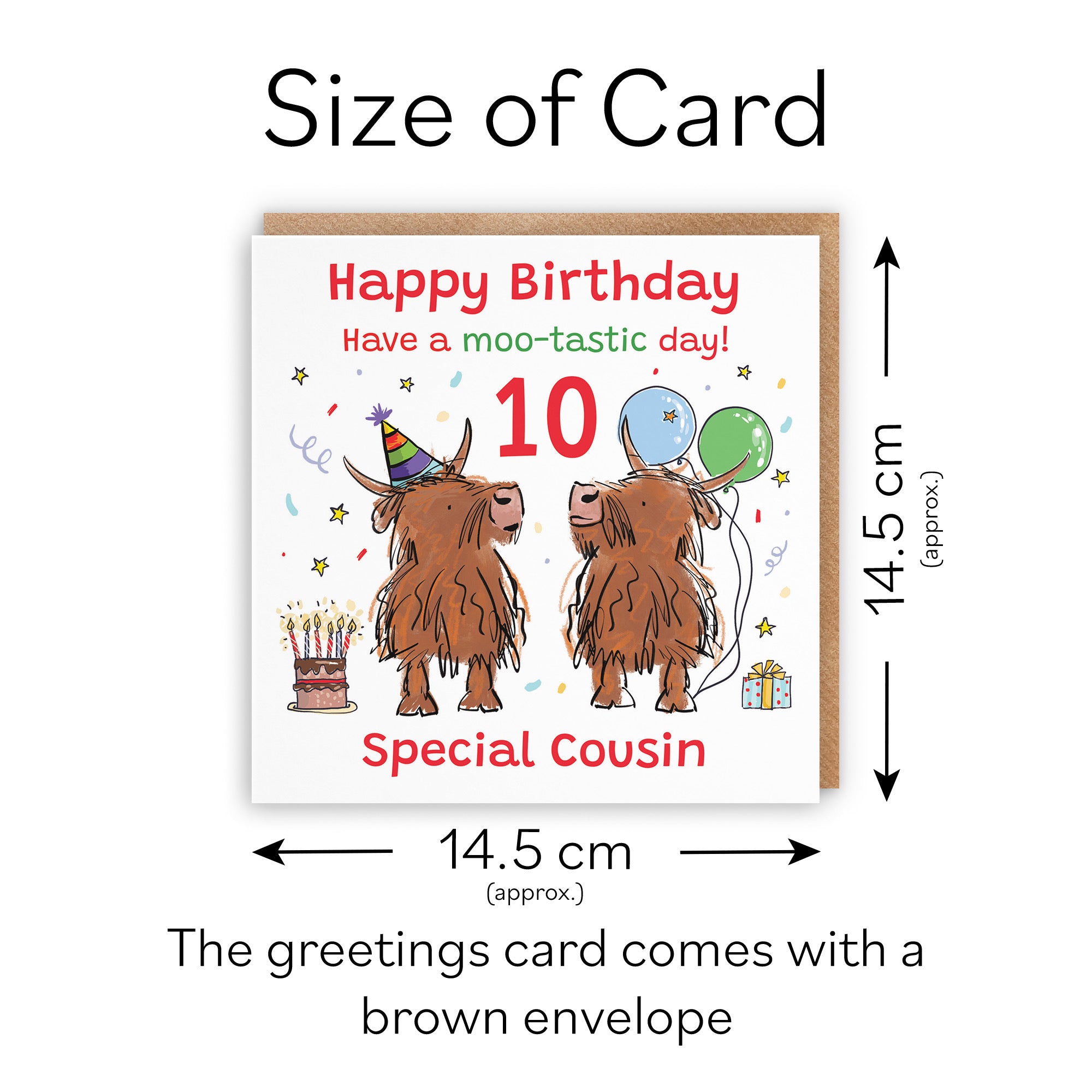 10th Cousin Birthday Card Highland Cows Animal Party - Default Title (RM00875)