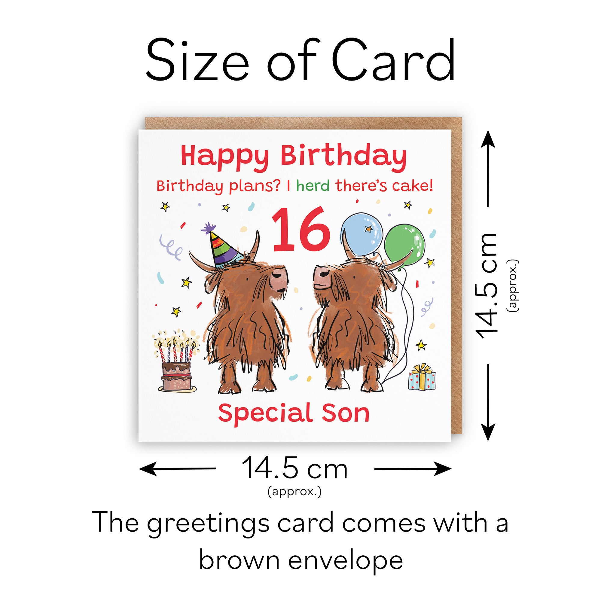 16th Son Birthday Card Highland Cows Animal Party - Default Title (RM00902)