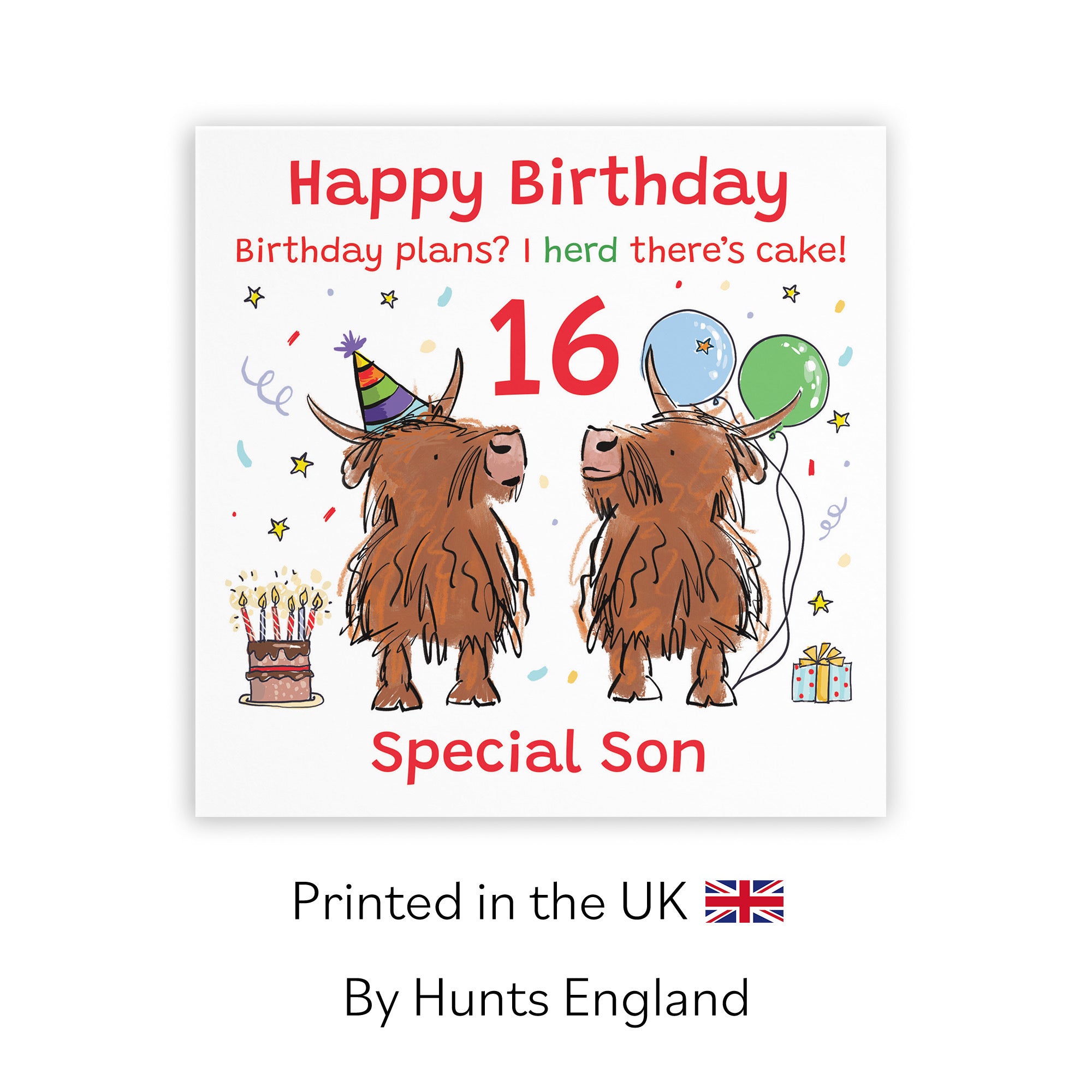 16th Son Birthday Card Highland Cows Animal Party - Default Title (RM00902)