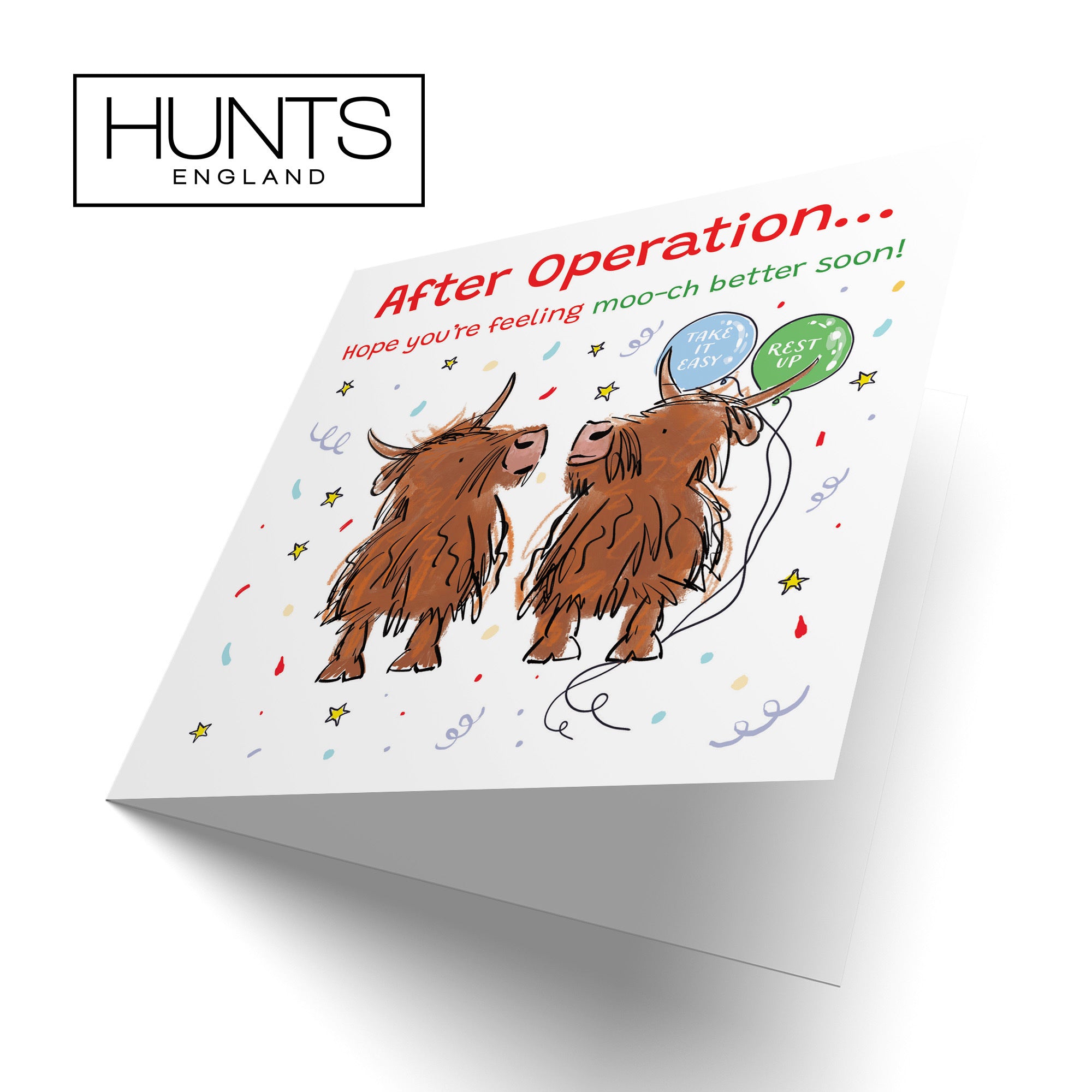 After Operation Get Well Card Highland Cows Animal Party - Default Title (RM00924)