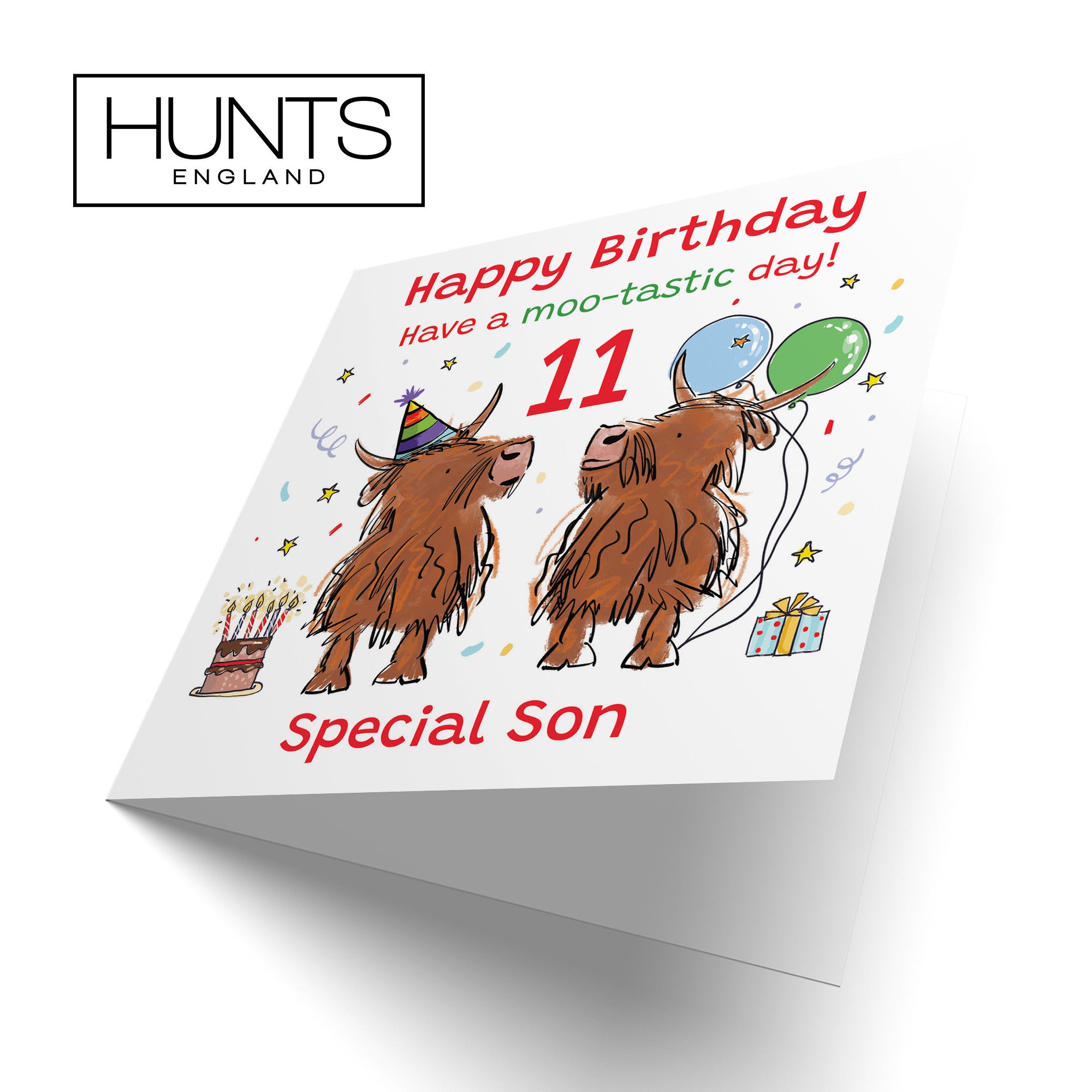 11th Son Birthday Card Highland Cows Animal Party - Default Title (RM00932)