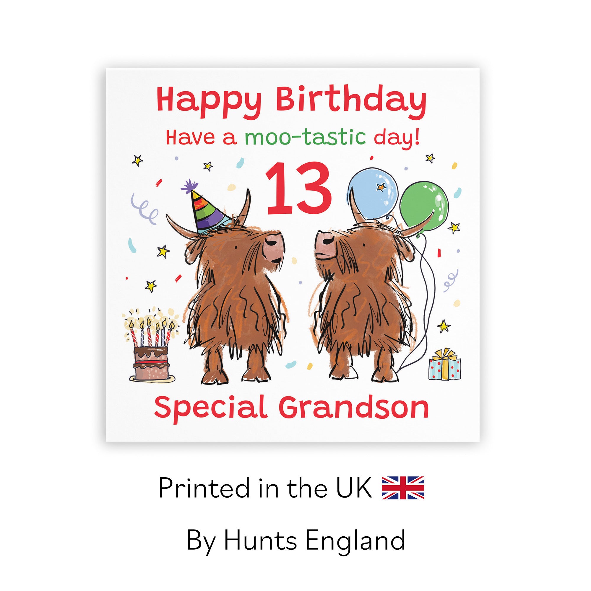 13th Grandson Birthday Card Highland Cows Animal Party - Default Title (RM00944)