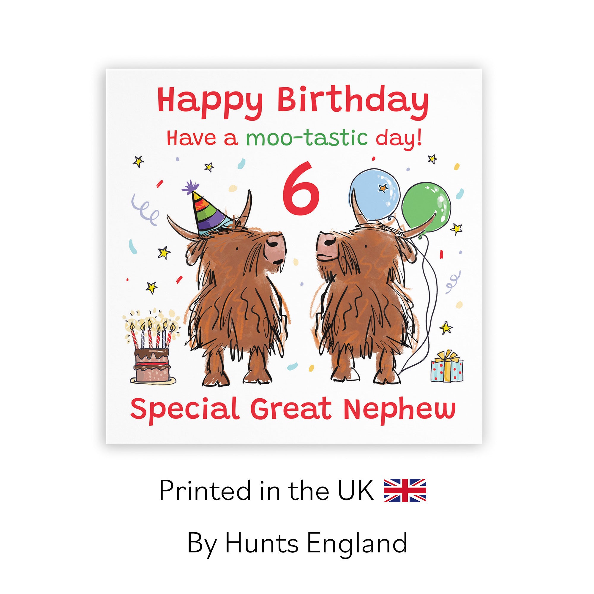 6th Great Nephew Birthday Card Highland Cows Animal Party - Default Title (RM01016)