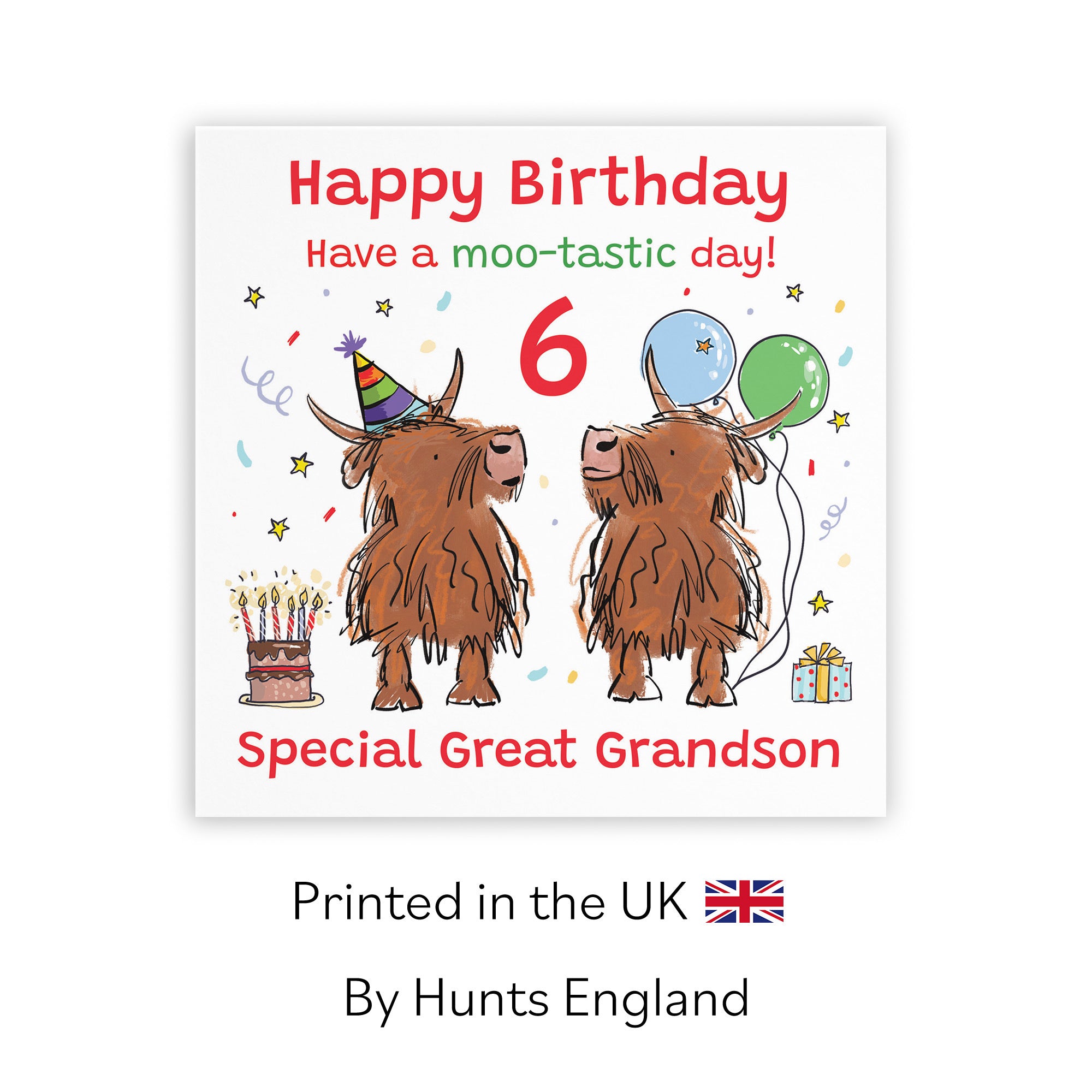 6th Great Grandson Birthday Card Highland Cows Animal Party - Default Title (RM01027)