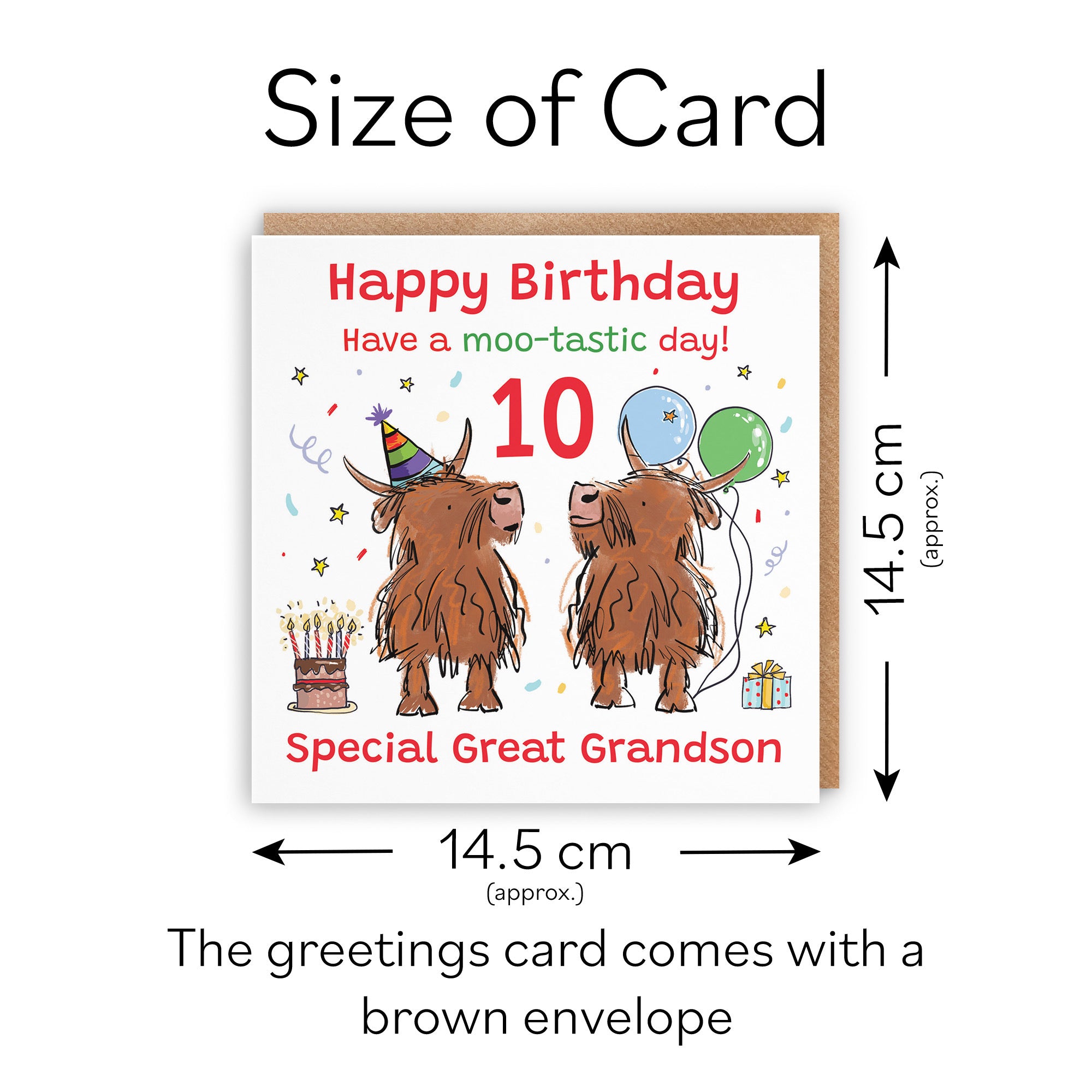 10th Great Grandson Birthday Card Highland Cows Animal Party - Default Title (RM01055)