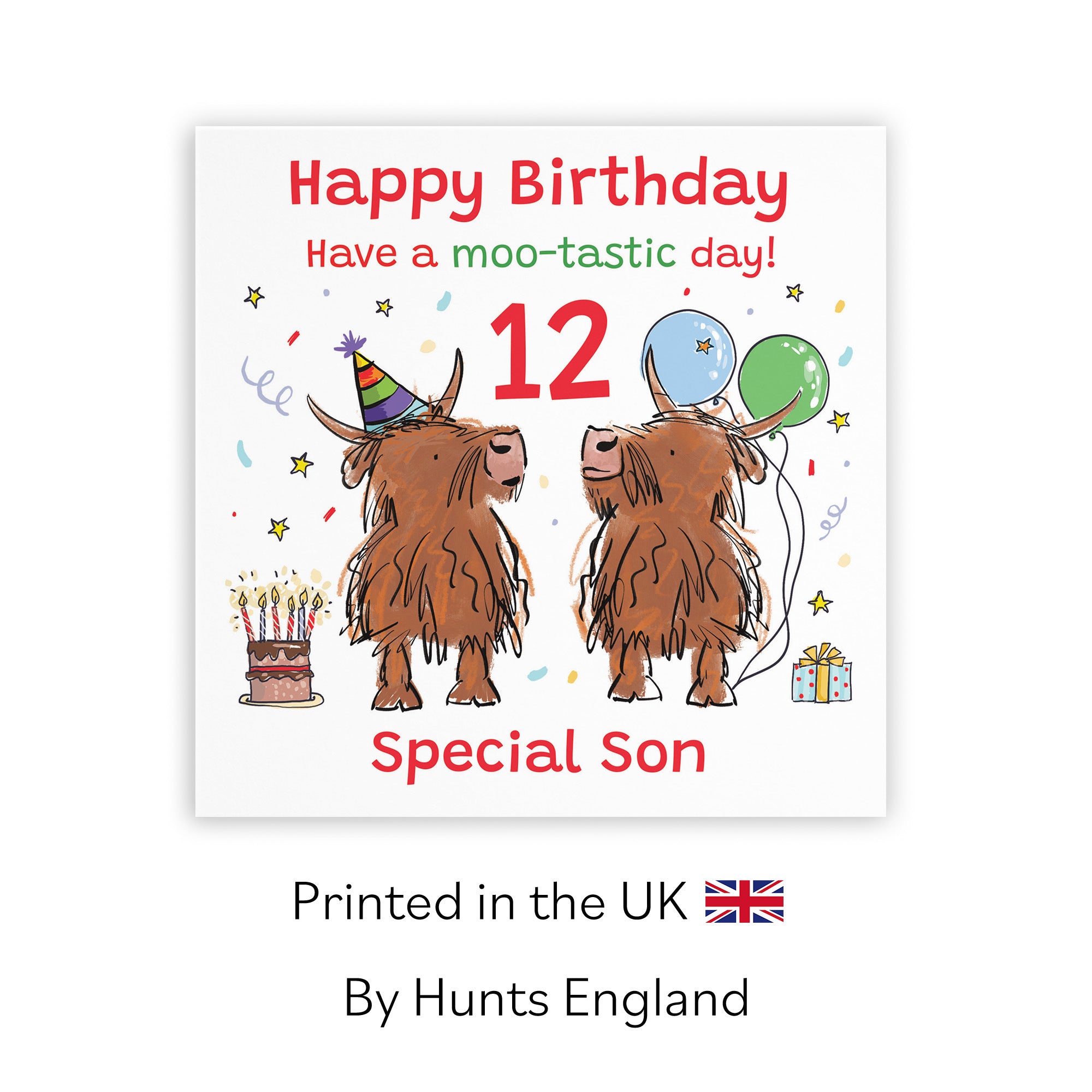 12th Son Birthday Card Highland Cows Animal Party - Default Title (RM01084)