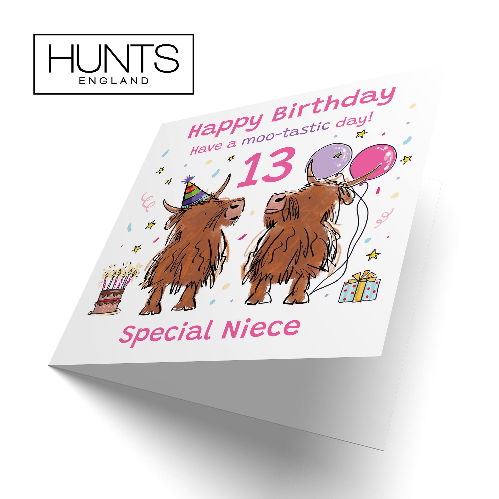 13th Niece Birthday Card Highland Cows Animal Party - Default Title (RM01134)
