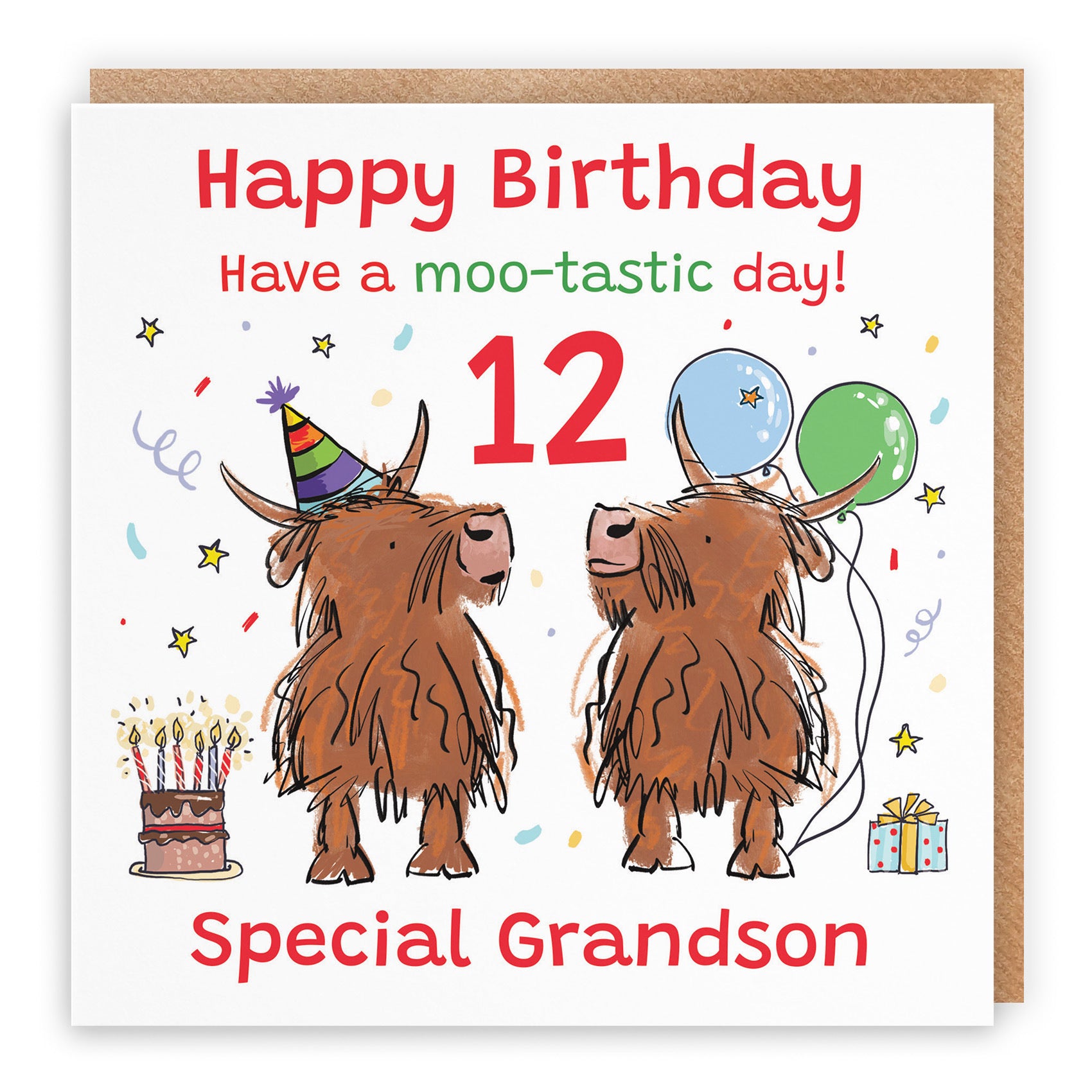 12th Grandson Birthday Card Highland Cows Animal Party - Default Title (RM01147)
