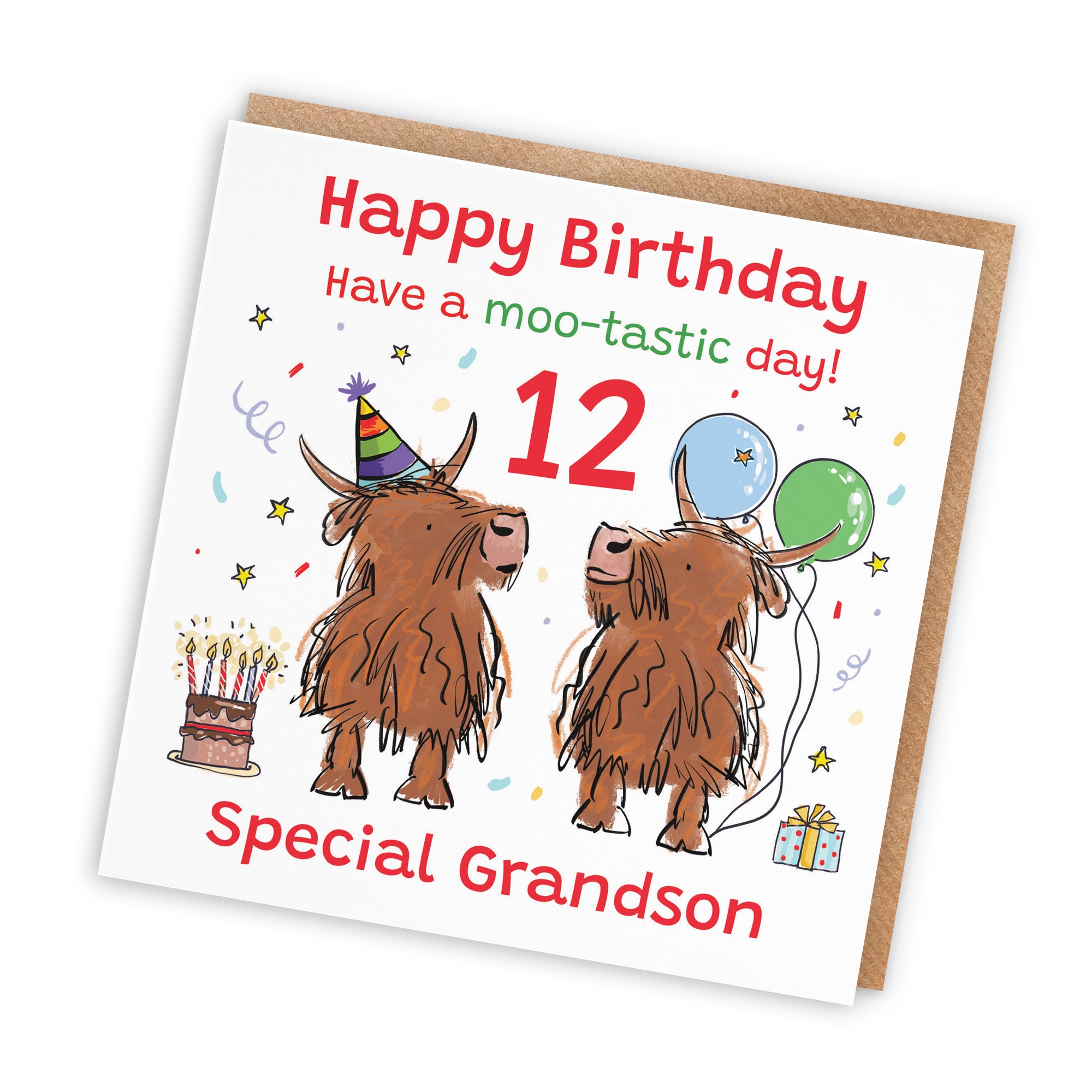 12th Grandson Birthday Card Highland Cows Animal Party - Default Title (RM01147)