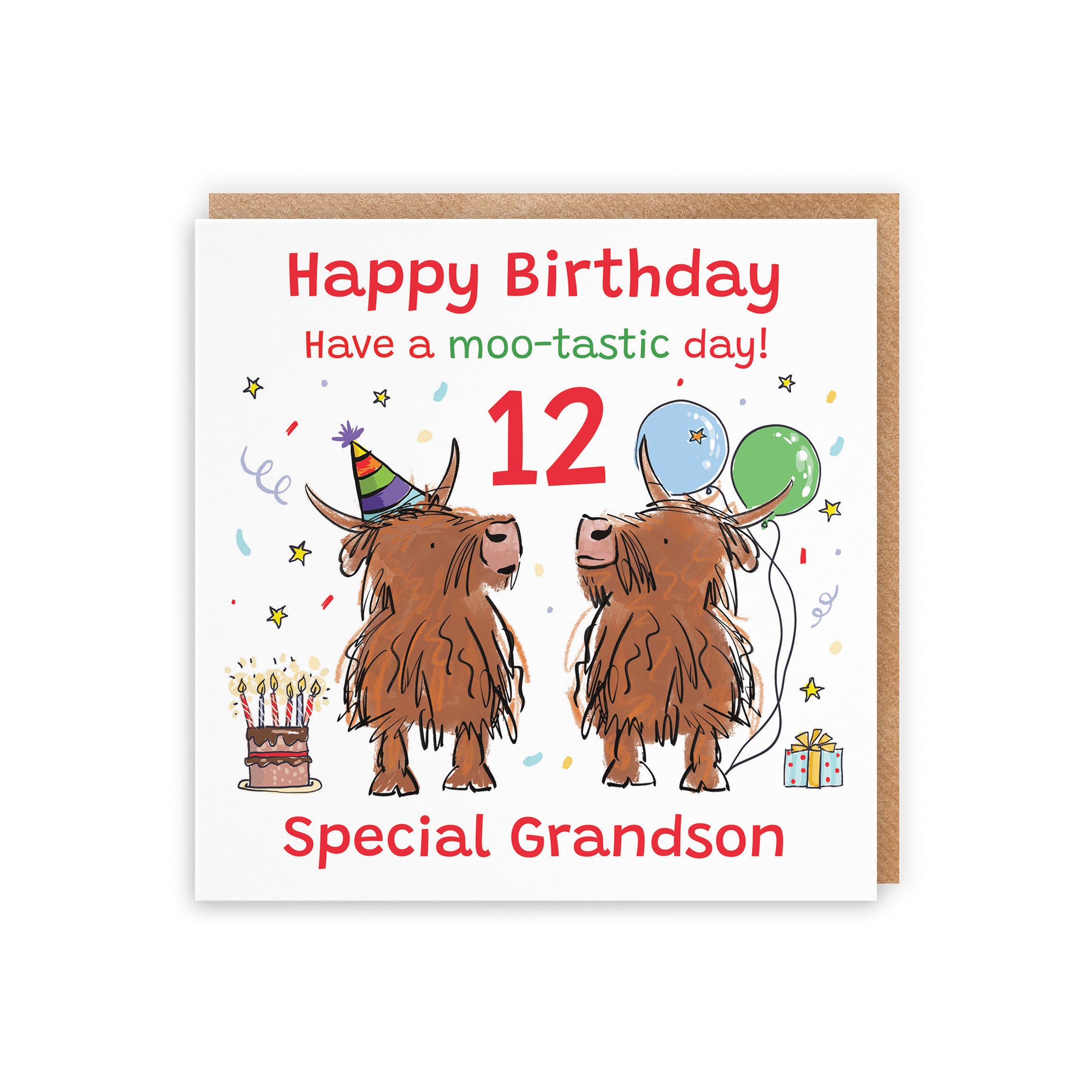 12th Grandson Birthday Card Highland Cows Animal Party - Default Title (RM01147)