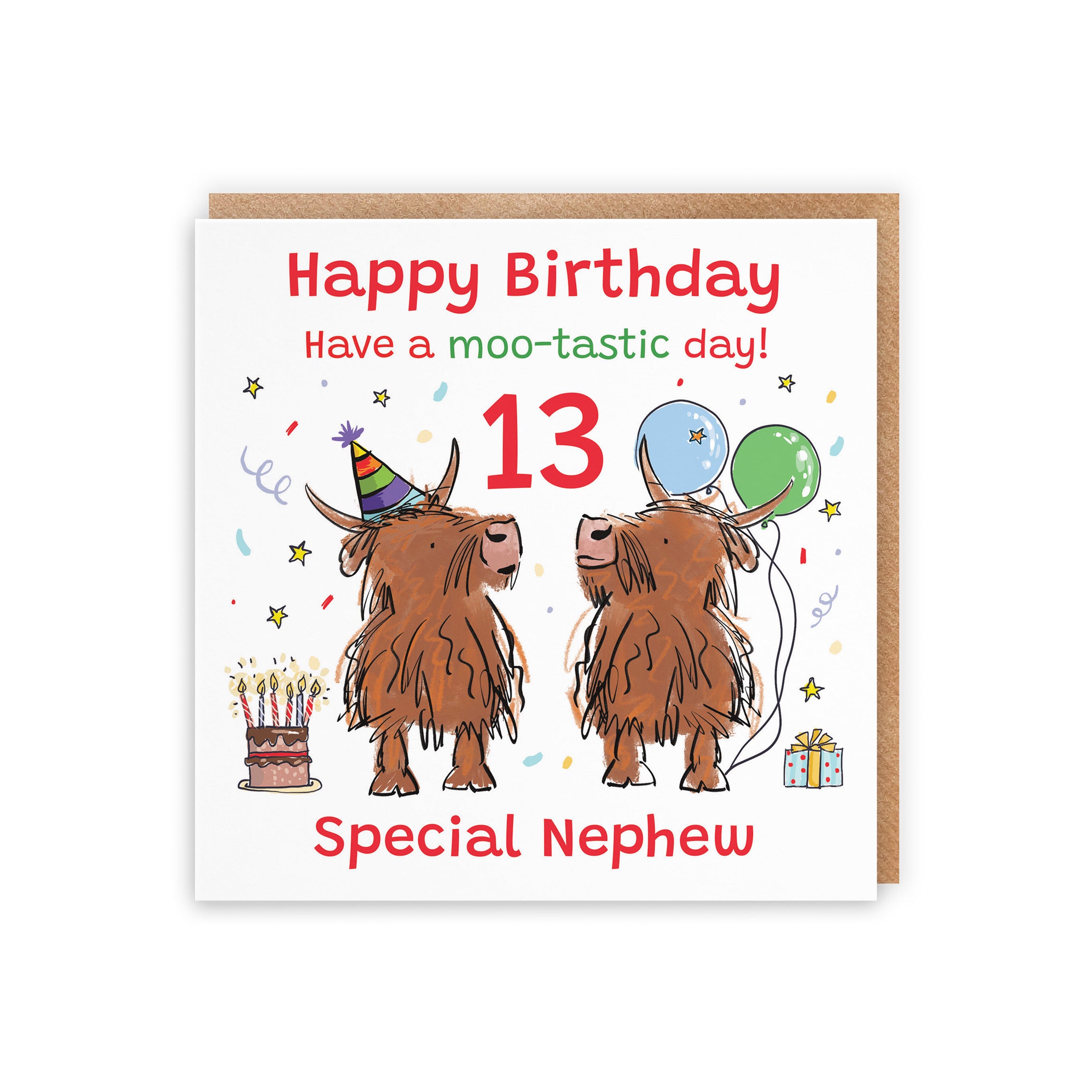 13th Nephew Birthday Card Highland Cows Animal Party - Default Title (RM01157)