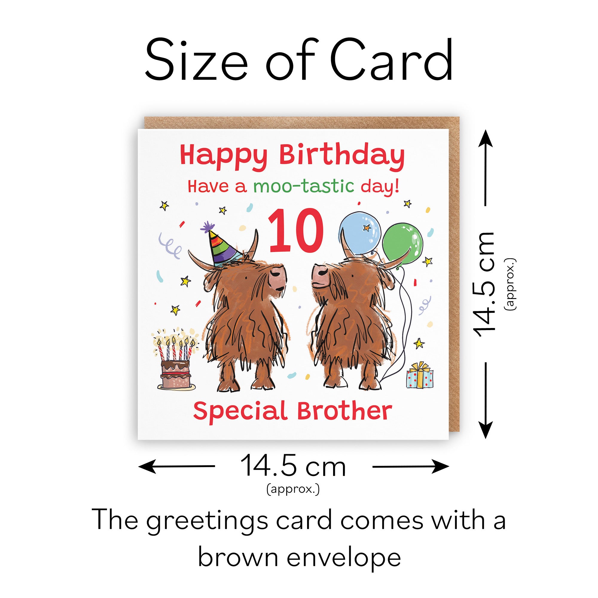 10th Brother Birthday Card Highland Cows Animal Party - Default Title (RM01165)