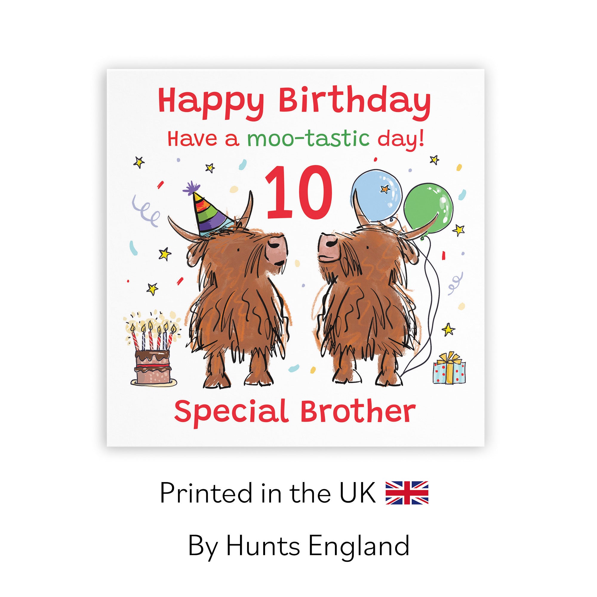 10th Brother Birthday Card Highland Cows Animal Party - Default Title (RM01165)