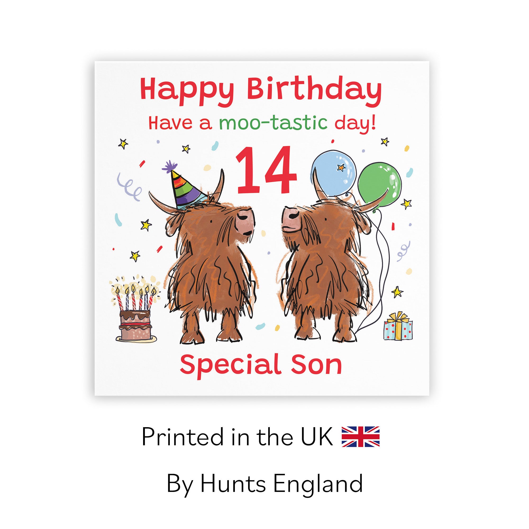 14th Son Birthday Card Highland Cows Animal Party - Default Title (RM01166)