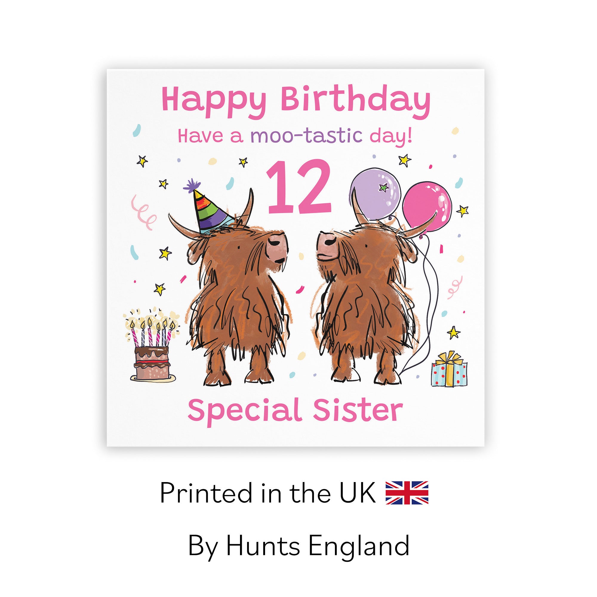 12th Sister Birthday Card Highland Cows Animal Party - Default Title (RM01172)