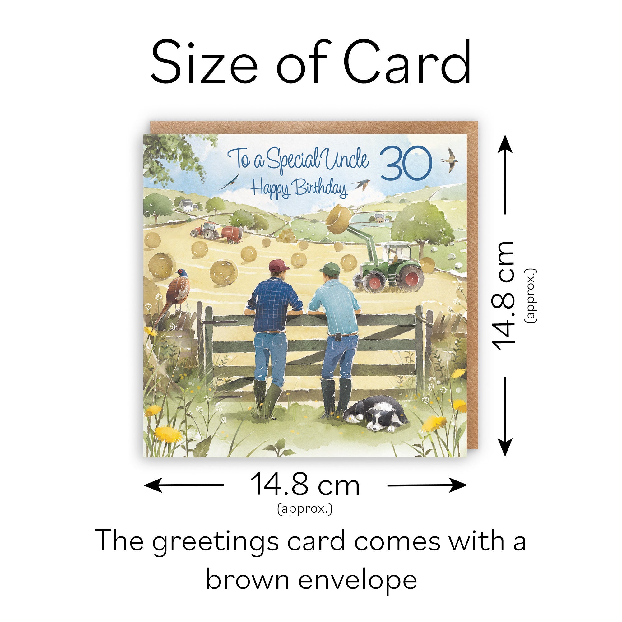 30th Uncle Farmers Birthday Card Haymaking Milo's Gallery - Default Title (RT03842)