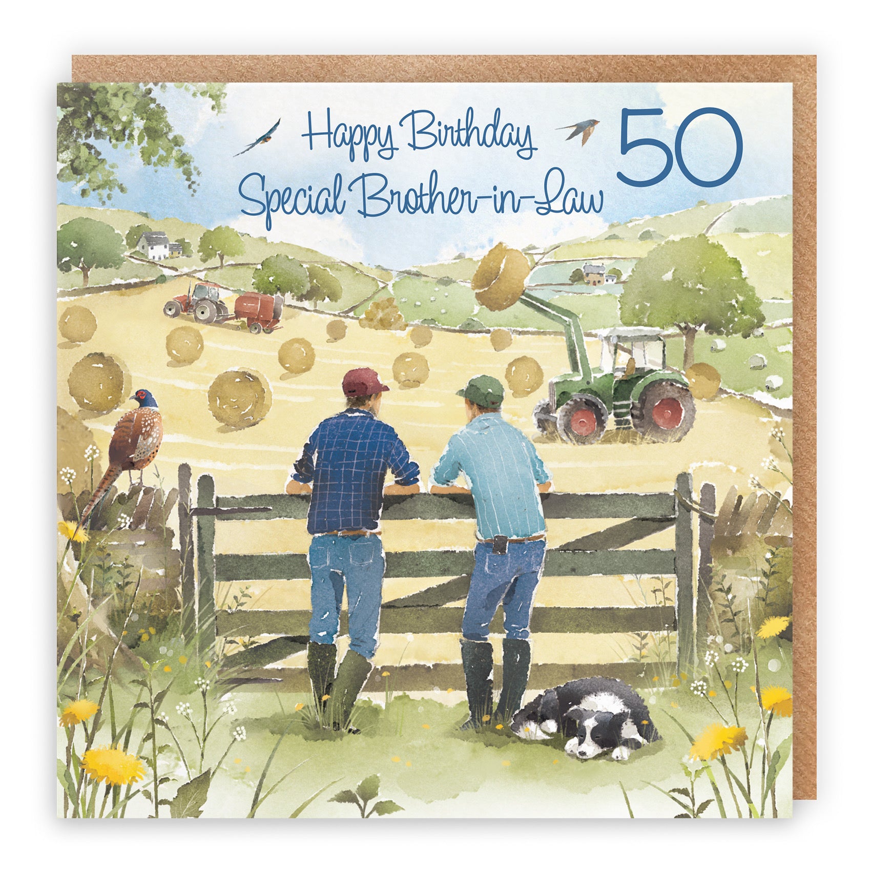 50th Brother-in-Law Farmers Birthday Card Haymaking Milo's Gallery - Default Title (RT03849)
