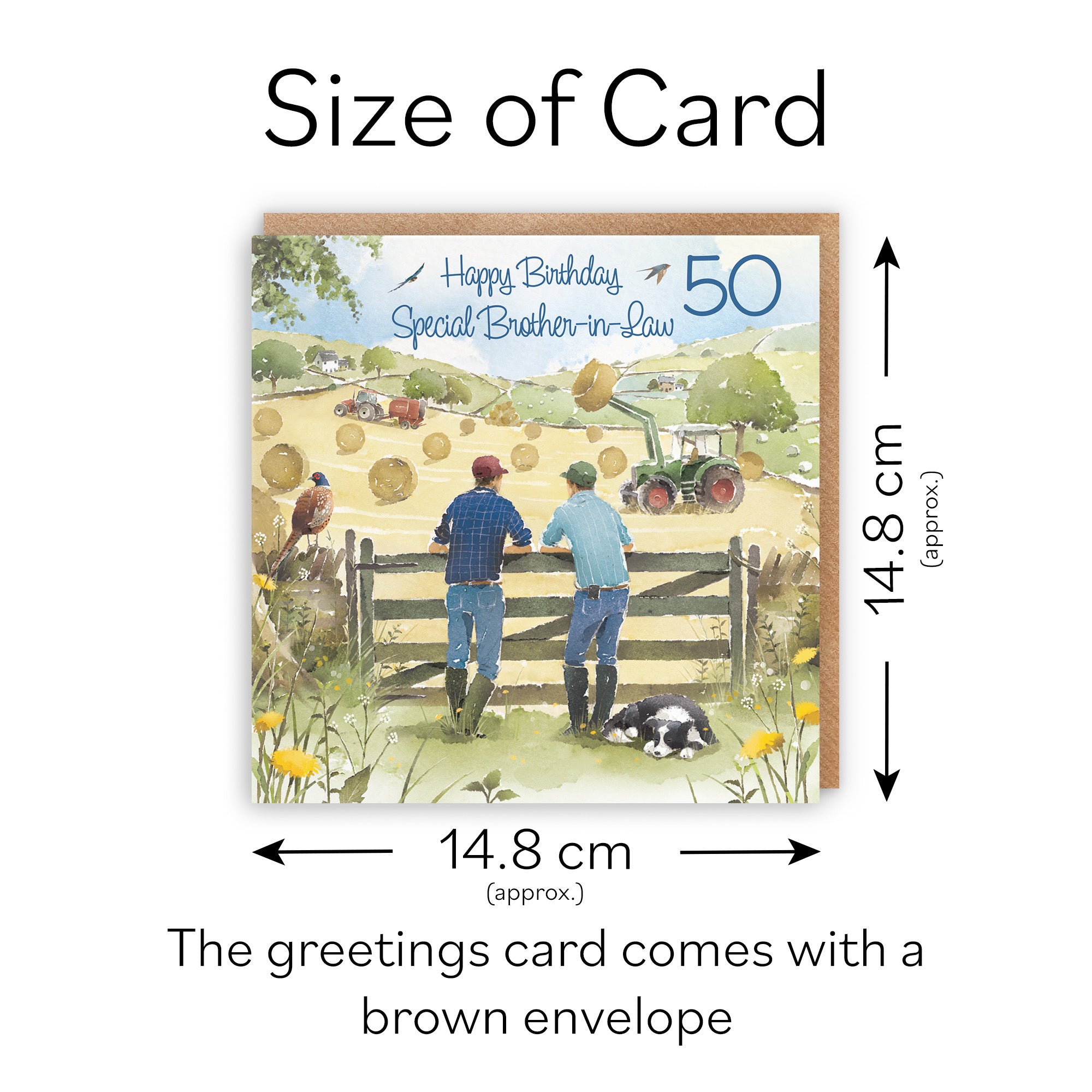 50th Brother-in-Law Farmers Birthday Card Haymaking Milo's Gallery - Default Title (RT03849)