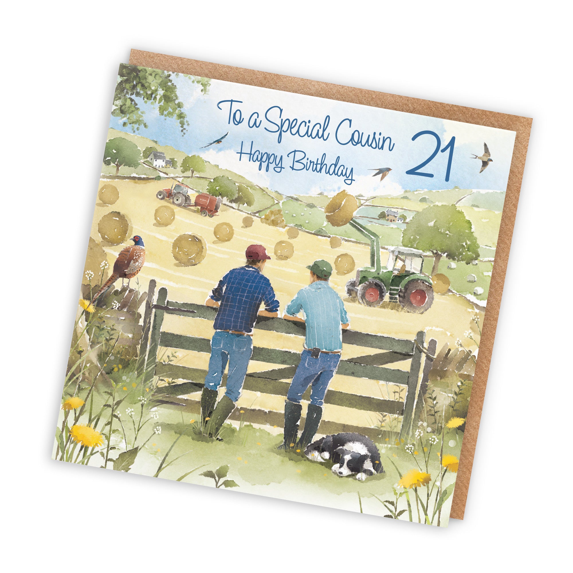21st Cousin Farmers Birthday Card Haymaking Milo's Gallery - Default Title (RT03858)