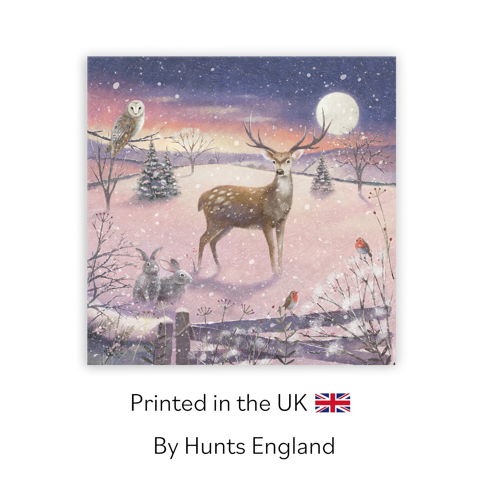 Stag Blank Any Occasion Card Milo's Gallery - Default Title (RT03908)