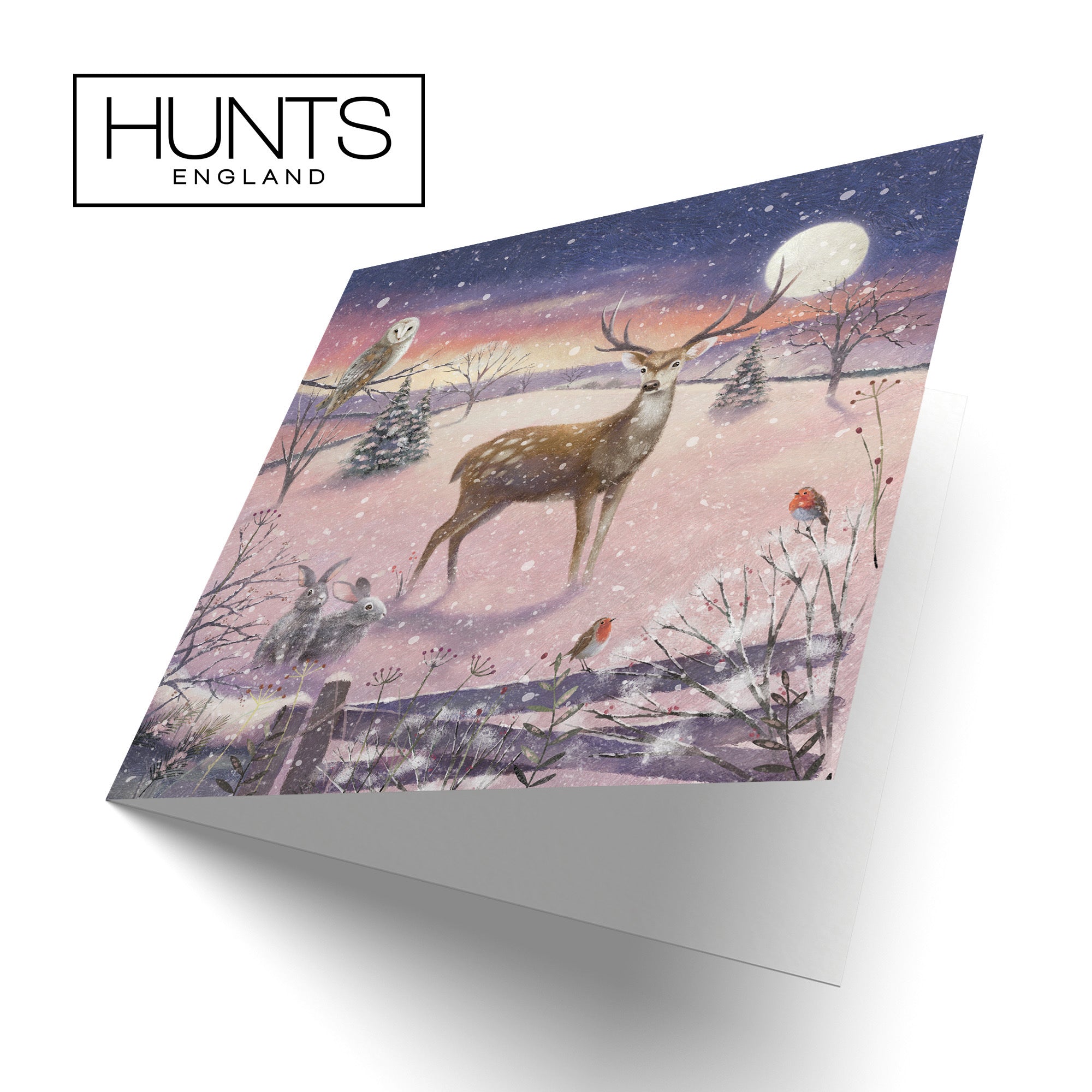Stag Blank Any Occasion Card Milo's Gallery - Default Title (RT03908)