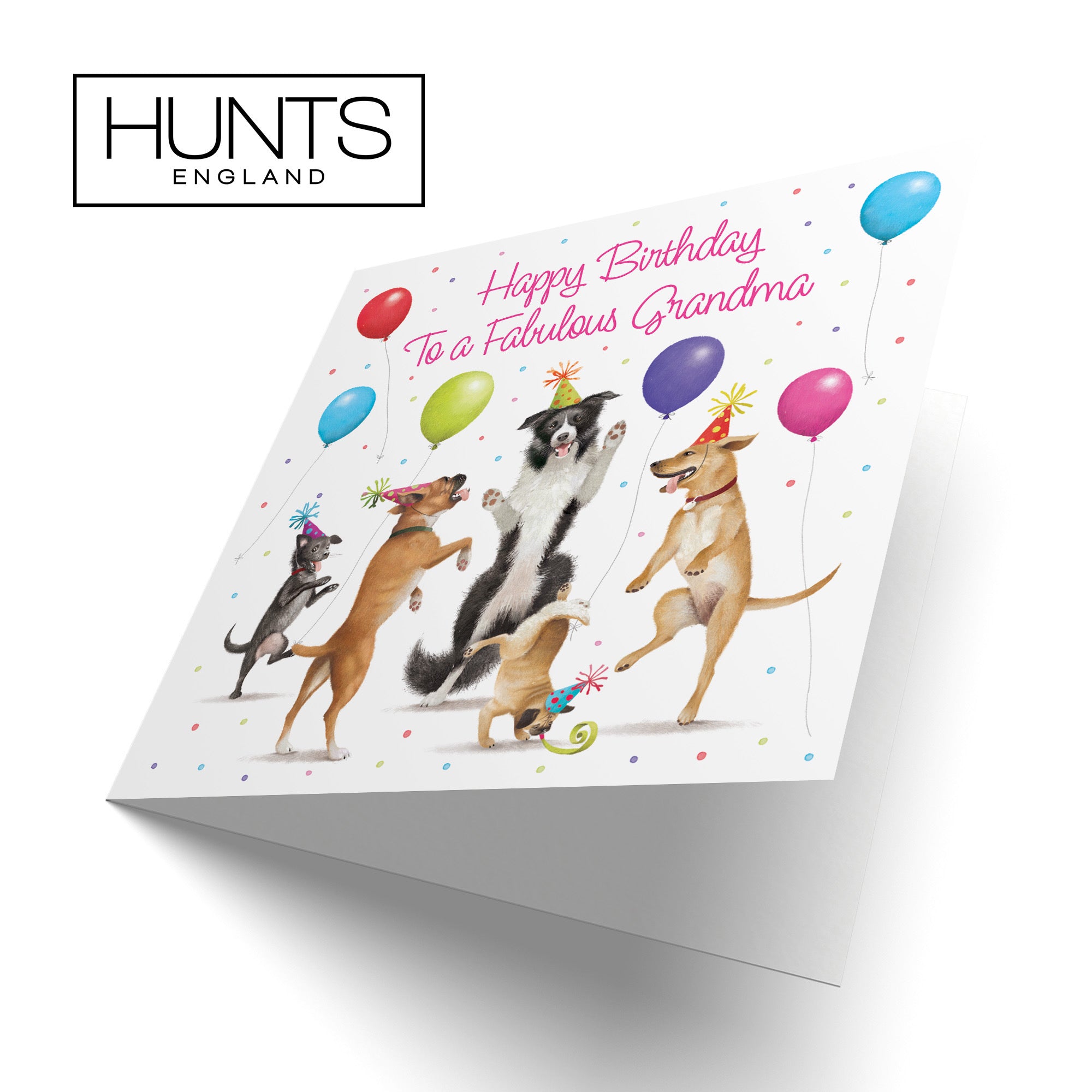 Grandma Birthday Card Dancing Dogs Milo's Gallery - Default Title (RT05640)
