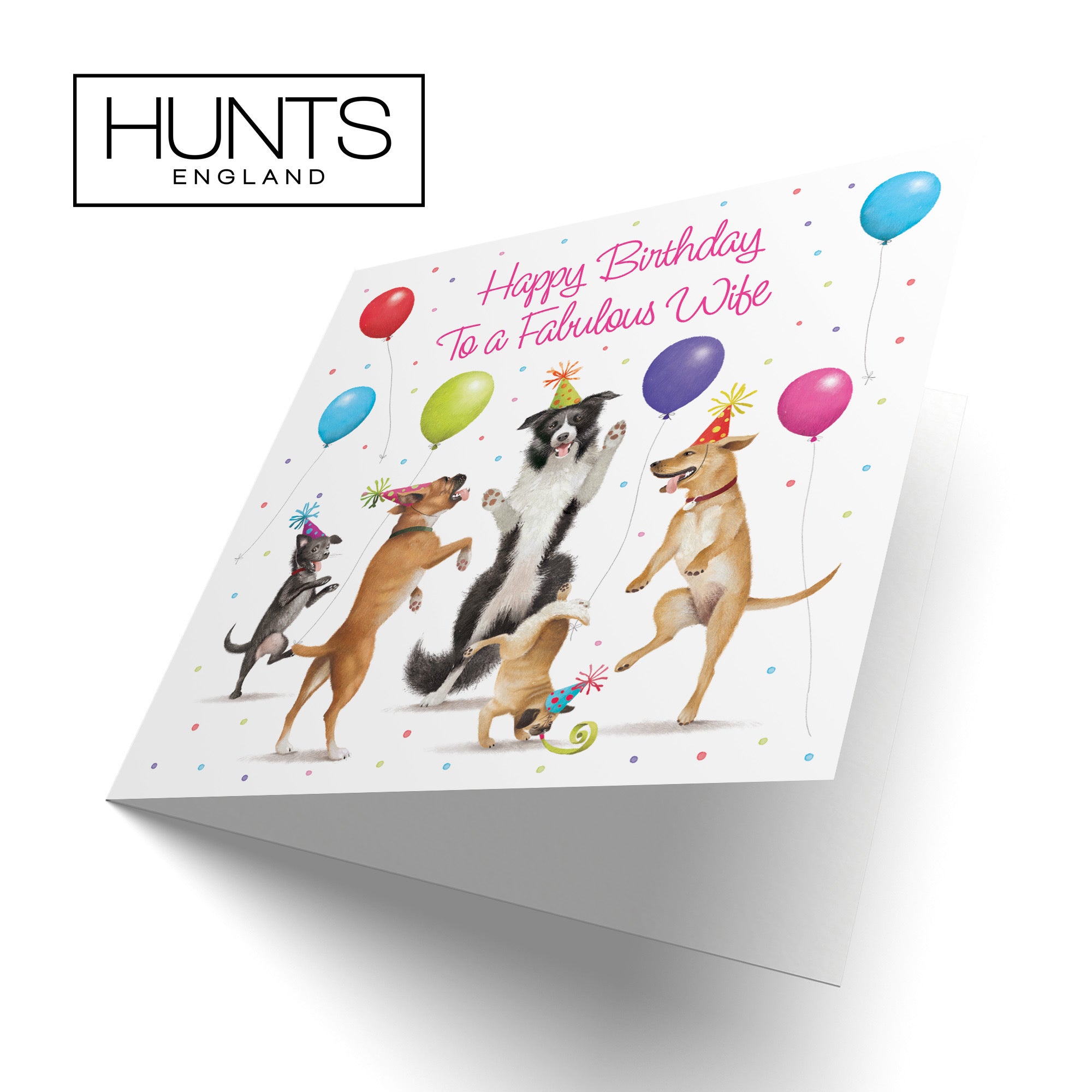 Wife Birthday Card Dancing Dogs Milo's Gallery - Default Title (RT05641)