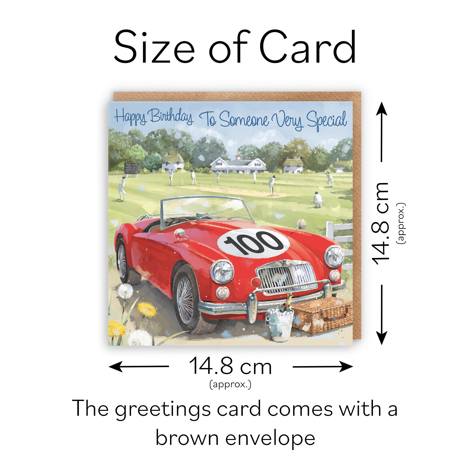100th Someone Very Special Classic Sports Car Birthday Card Milo's Gallery - Default Title (RT05673)