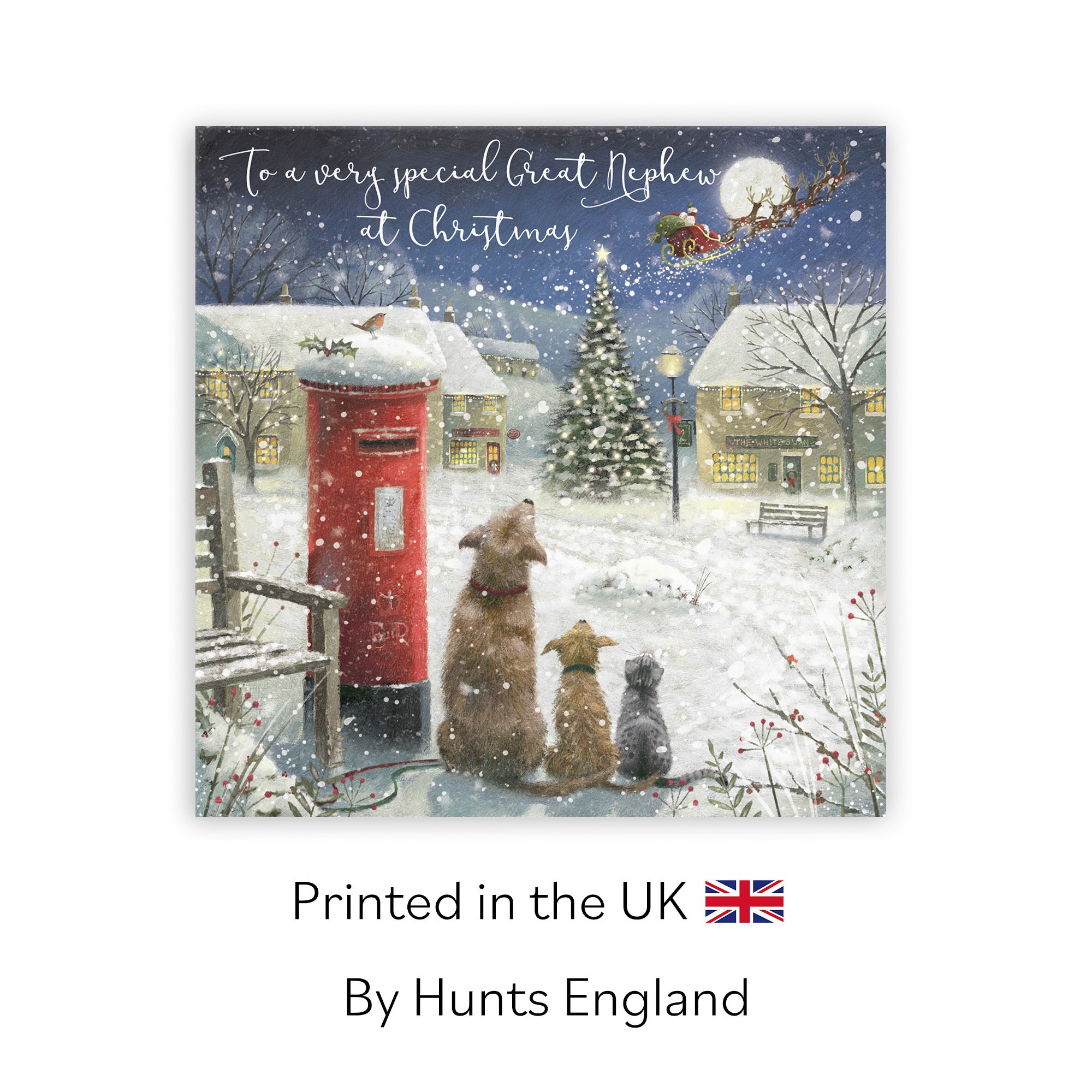 Great Nephew Card Magical Christmas Milo's Gallery - Default Title (RT05676)