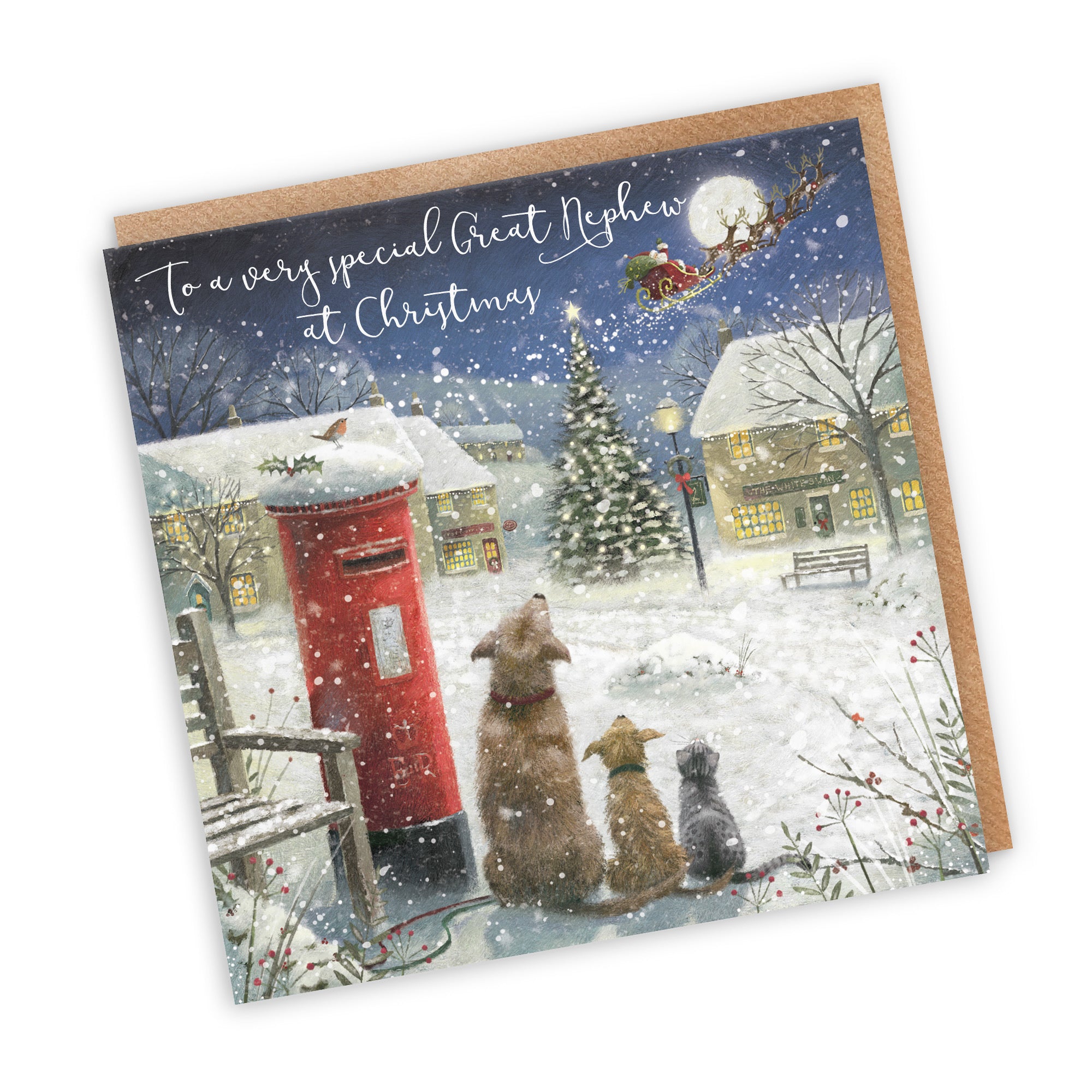 Great Nephew Card Magical Christmas Milo's Gallery - Default Title (RT05676)