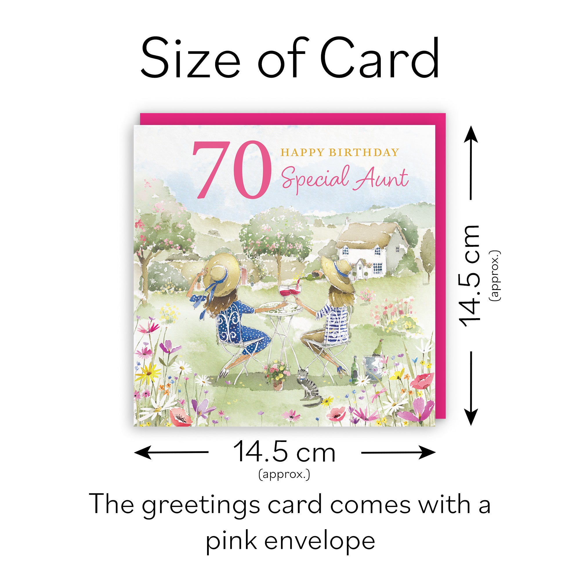 70th Aunt Birthday Card Countryside Garden Milo's Gallery - Default Title (RT06352)