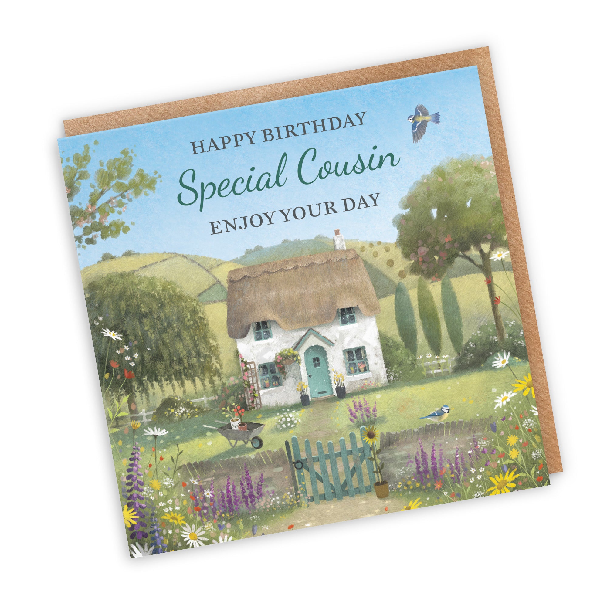 Cousin Birthday Card Thatched Cottage Milo's Gallery - Default Title (RT06477)