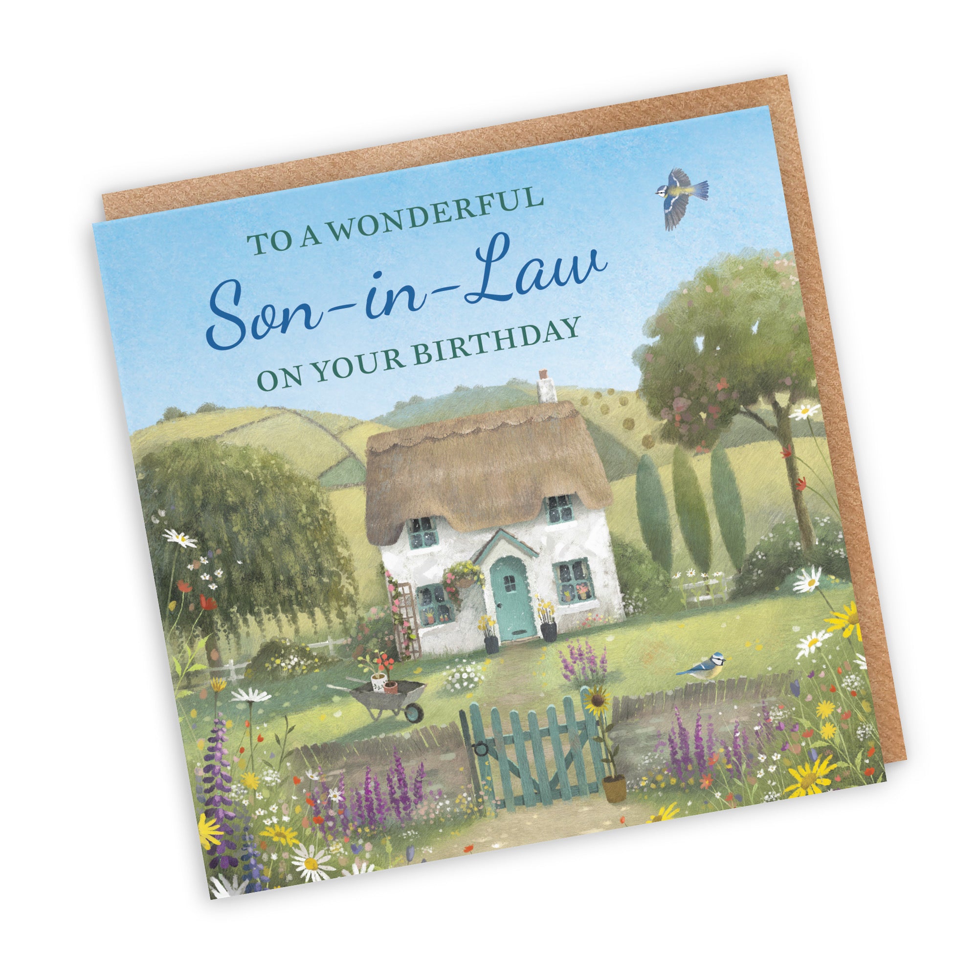 Son-in-Law Birthday Card Thatched Cottage Milo's Gallery - Default Title (RT06518)