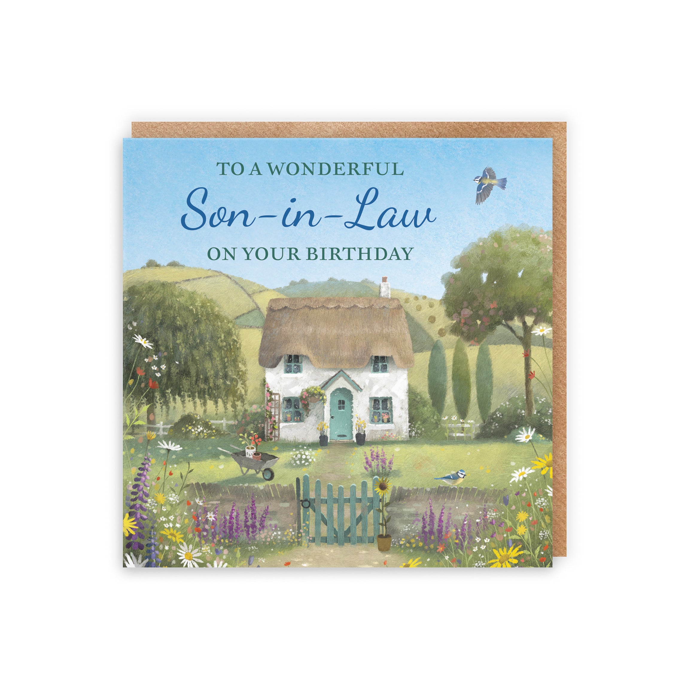 Son-in-Law Birthday Card Thatched Cottage Milo's Gallery - Default Title (RT06518)