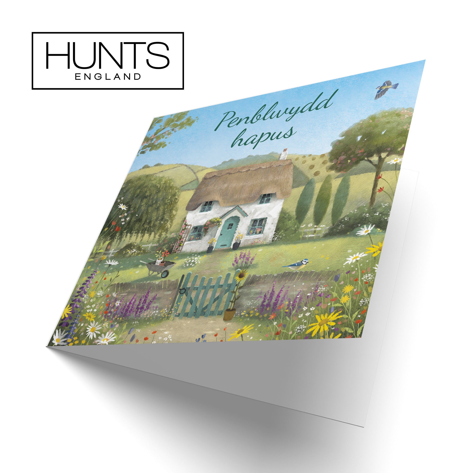 Welsh Language Birthday Card Thatched Cottage Milo's Gallery - Default Title (RT06528)