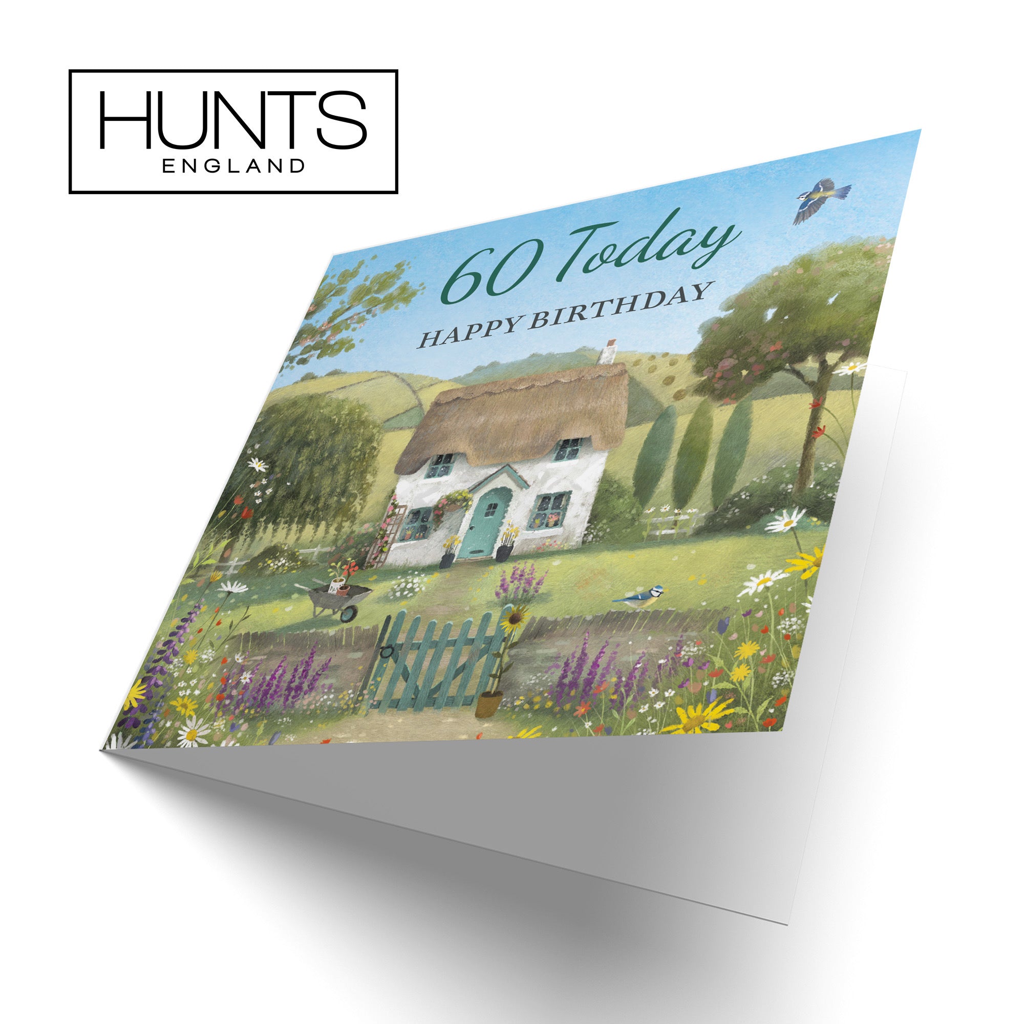 60th Birthday Card Thatched Cottage Milo's Gallery - Default Title (RT06538)