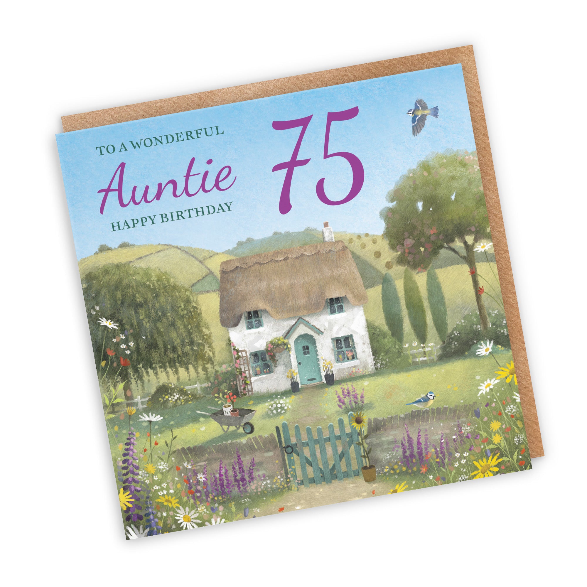 75th Auntie Birthday Card Thatched Cottage Milo's Gallery - Default Title (RT06571)