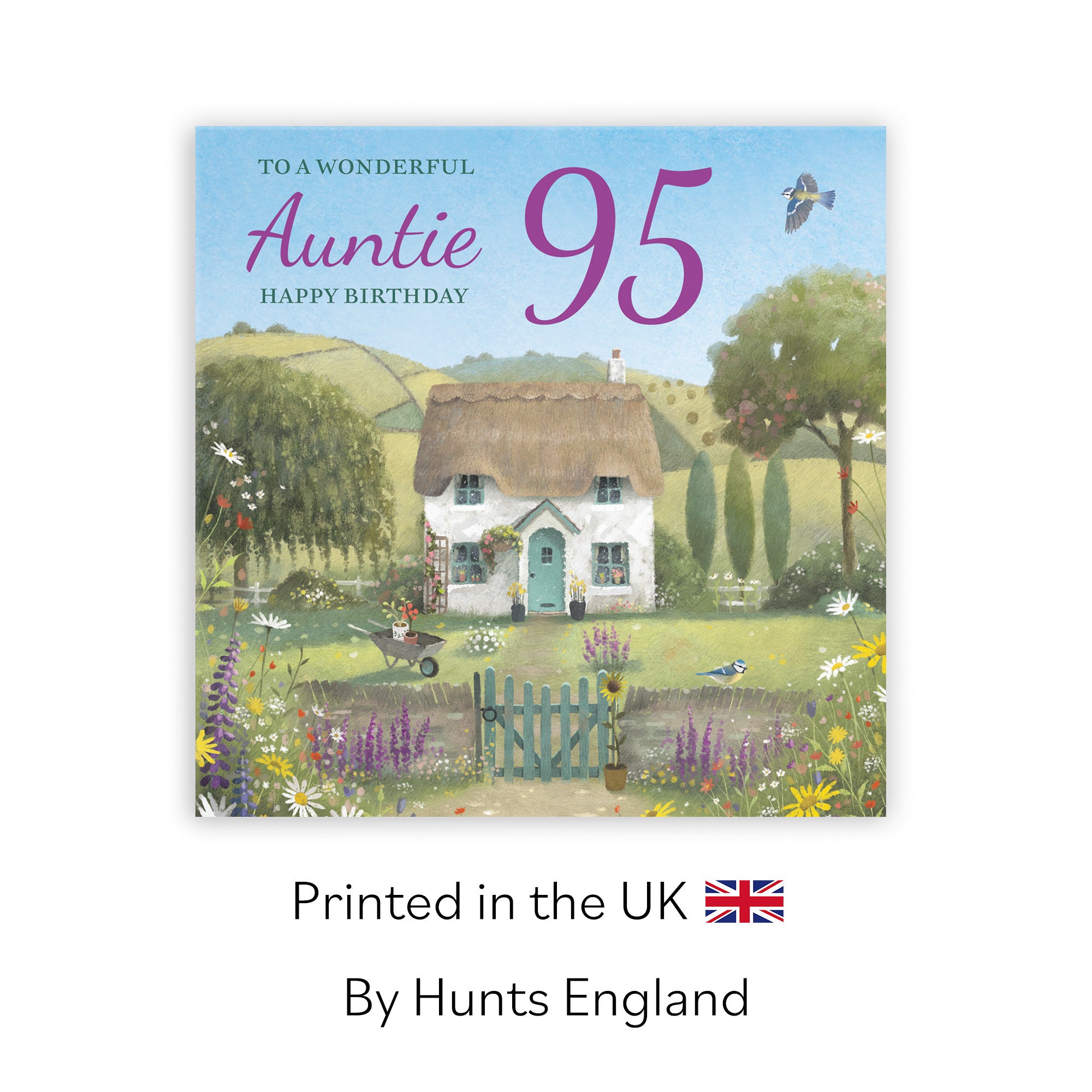 95th Auntie Birthday Card Thatched Cottage Milo's Gallery - Default Title (RT06575)