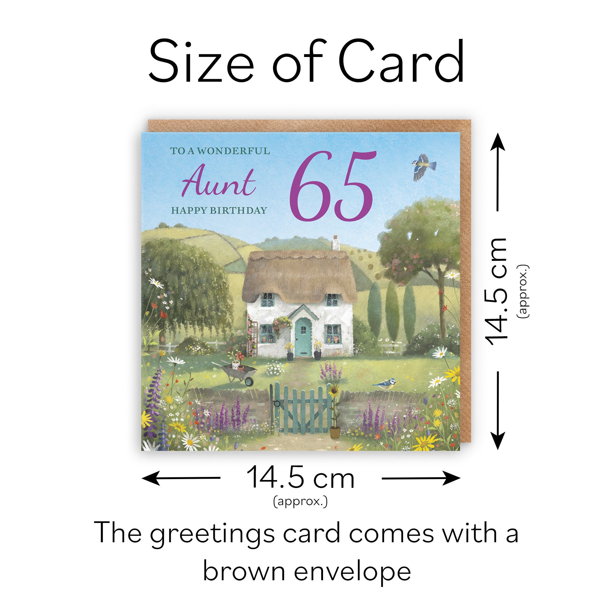 65th Aunt Birthday Card Thatched Cottage Milo's Gallery - Default Title (RT06578)