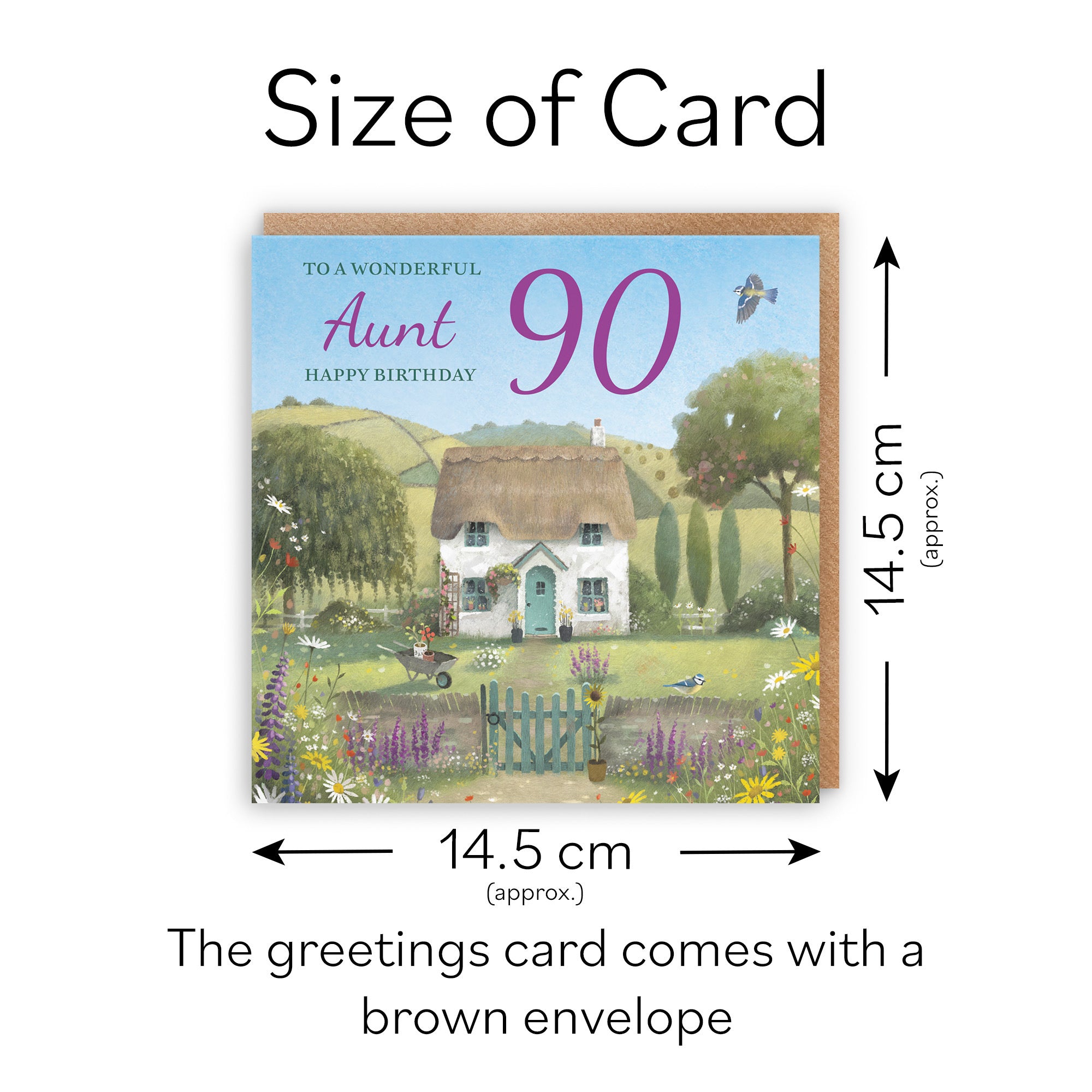 90th Aunt Birthday Card Thatched Cottage Milo's Gallery - Default Title (RT06582)