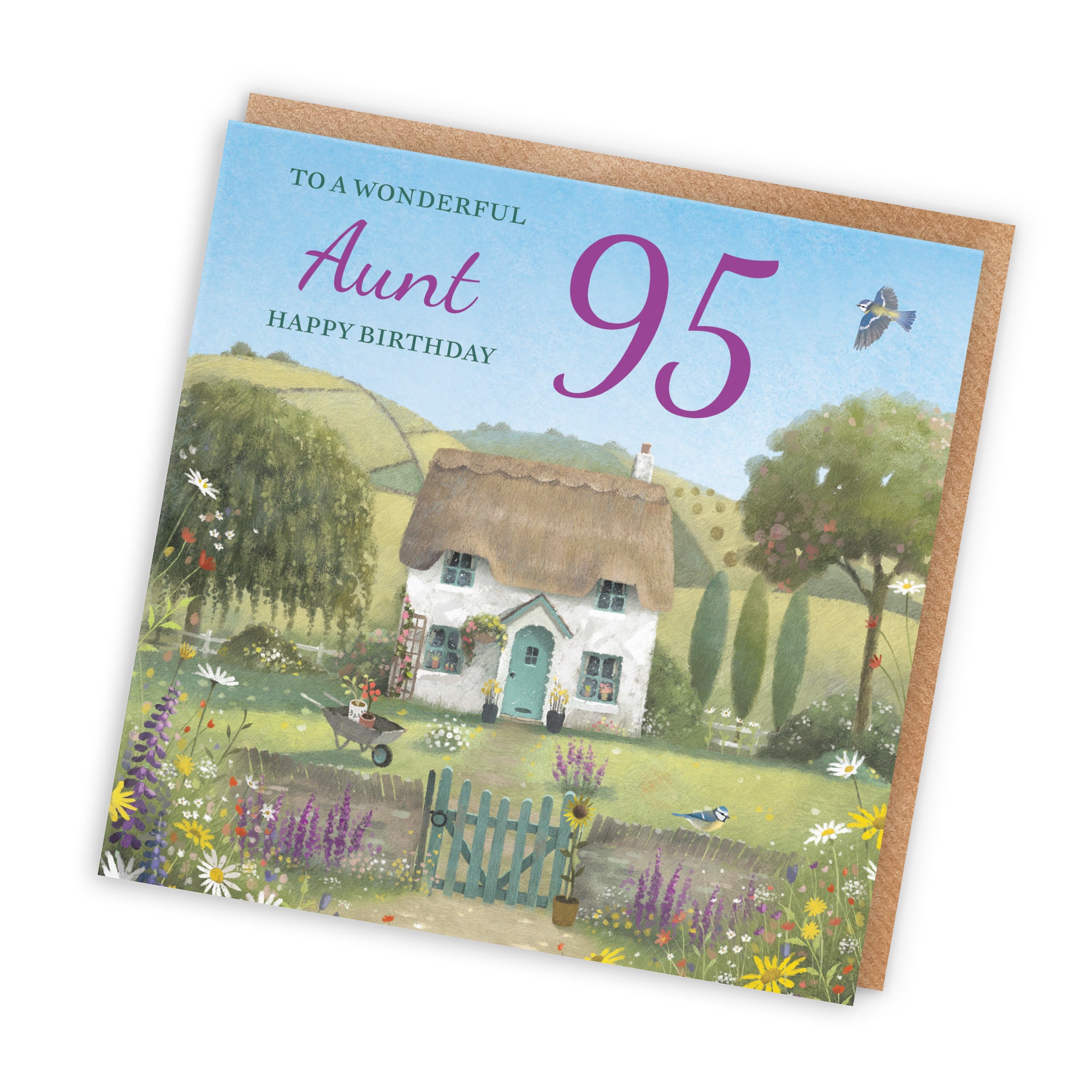 95th Aunt Birthday Card Thatched Cottage Milo's Gallery - Default Title (RT06583)