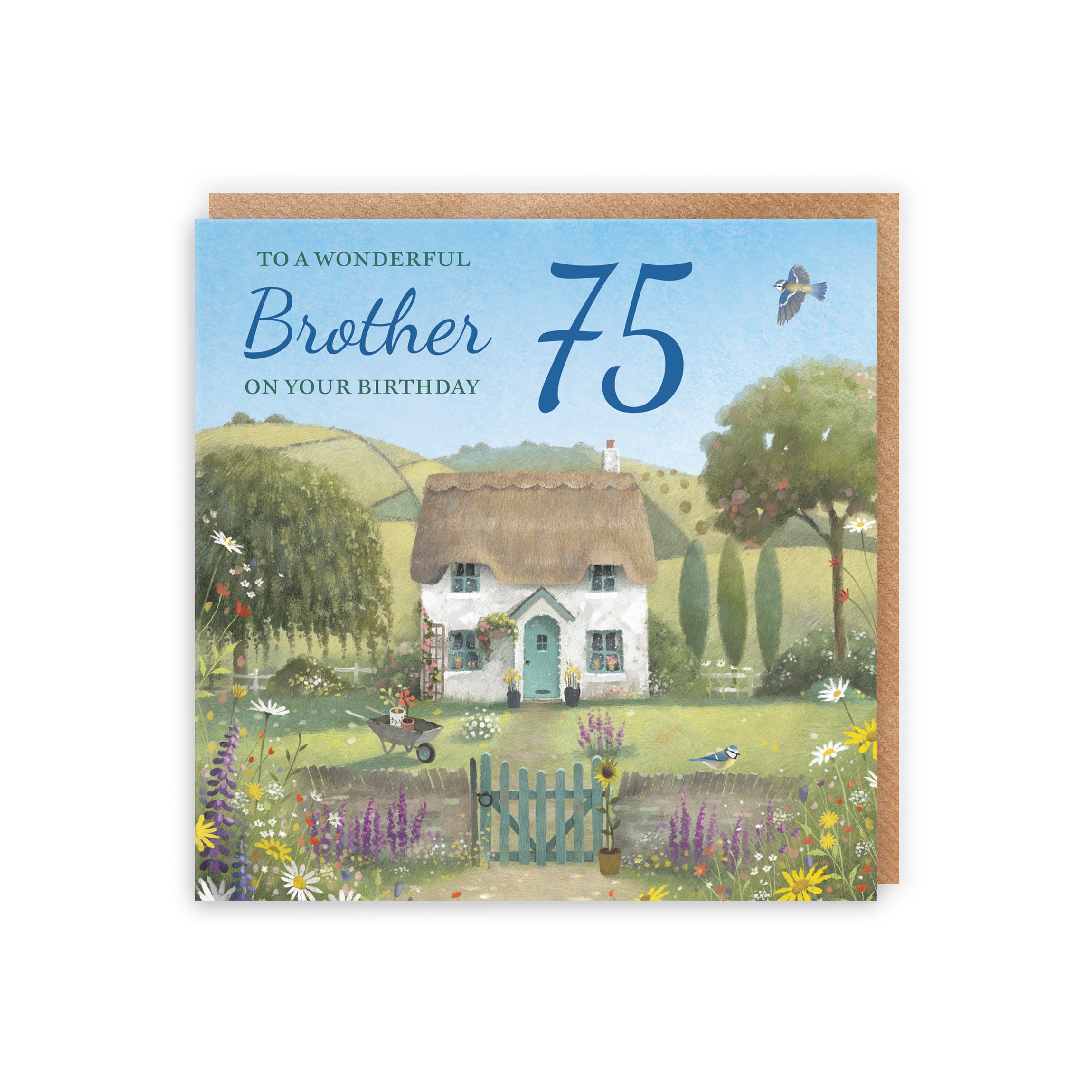 75th Brother Birthday Card Thatched Cottage Milo's Gallery - Default Title (RT06590)