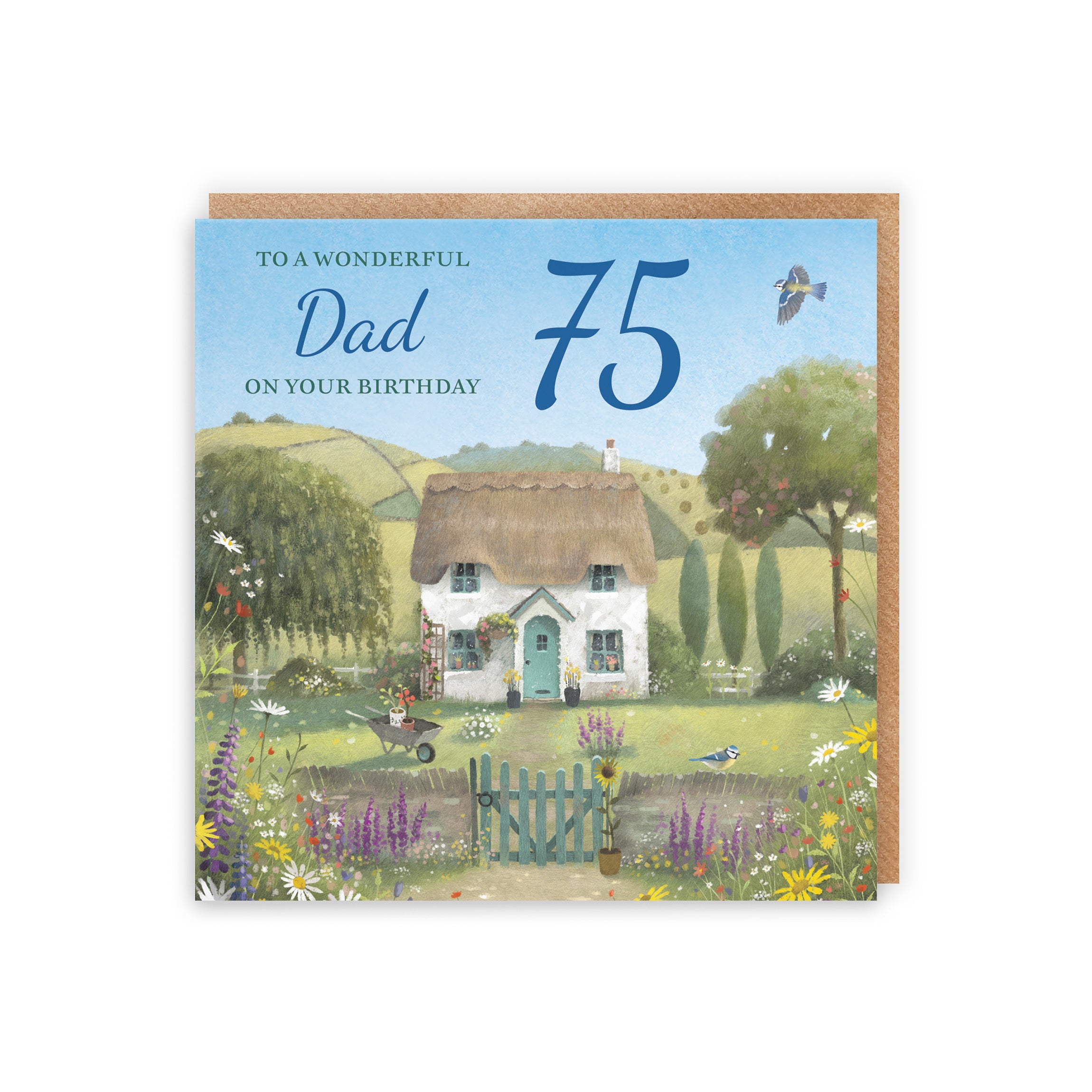 75th Dad Birthday Card Thatched Cottage Milo's Gallery - Default Title (RT06614)