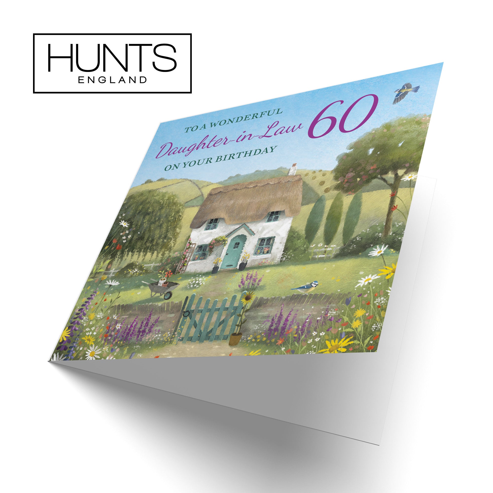 60th Daughter-in-Law Birthday Card Thatched Cottage Milo's Gallery - Default Title (RT06633)